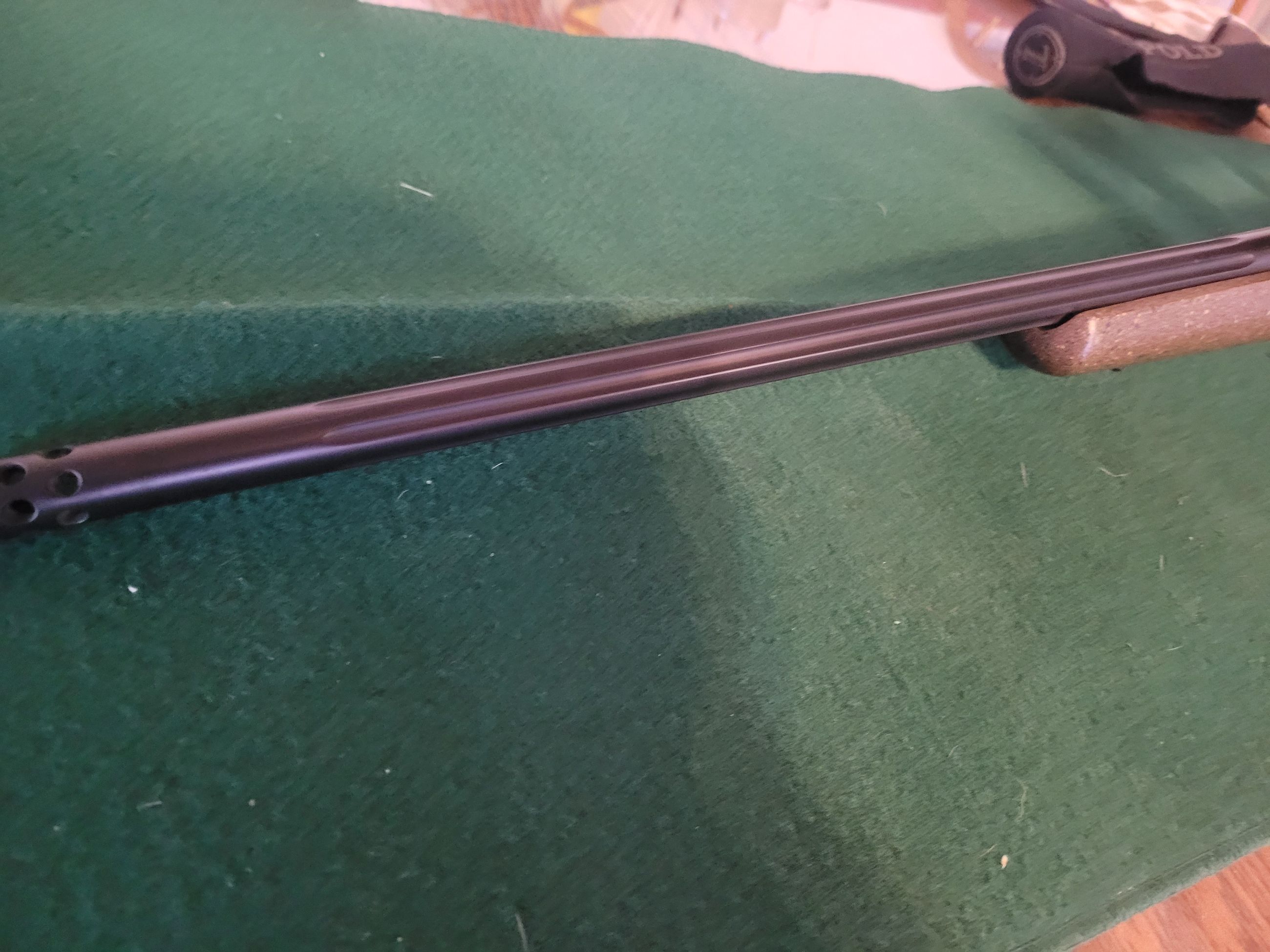 Photo of Bansner Alpine Hunter