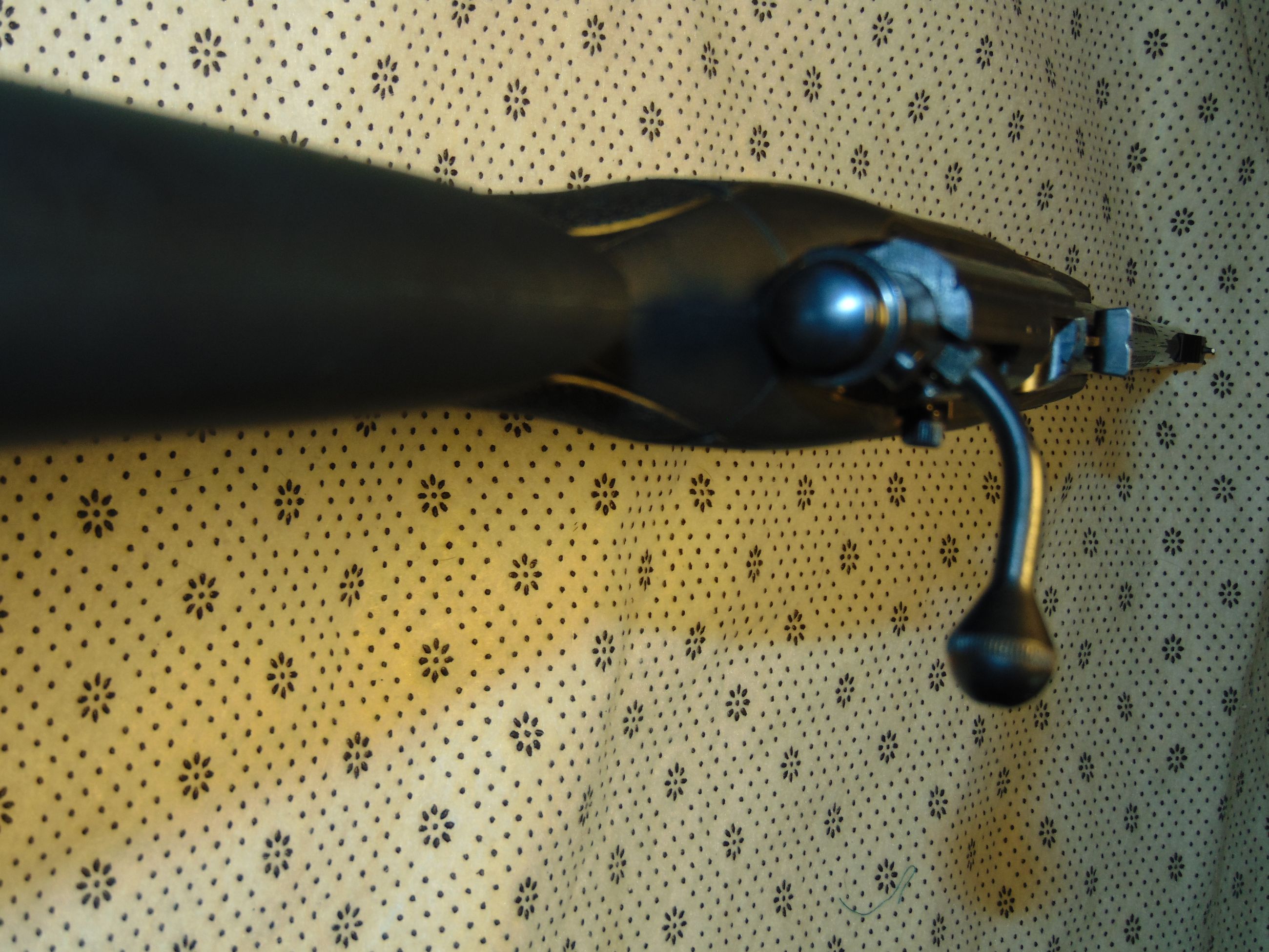 Photo of Marlin XT youth .22