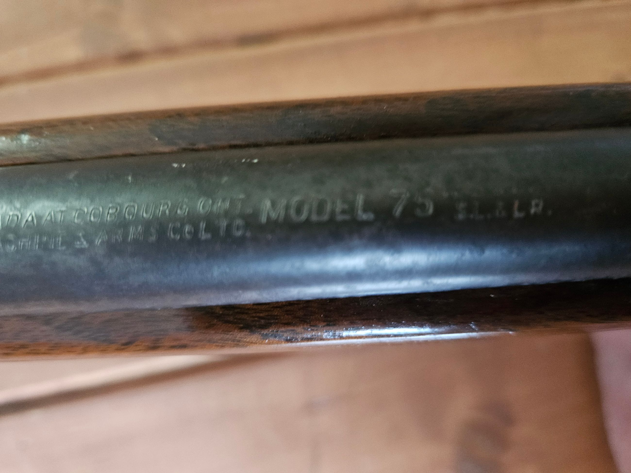 Photo of Cooey model 75 22lr