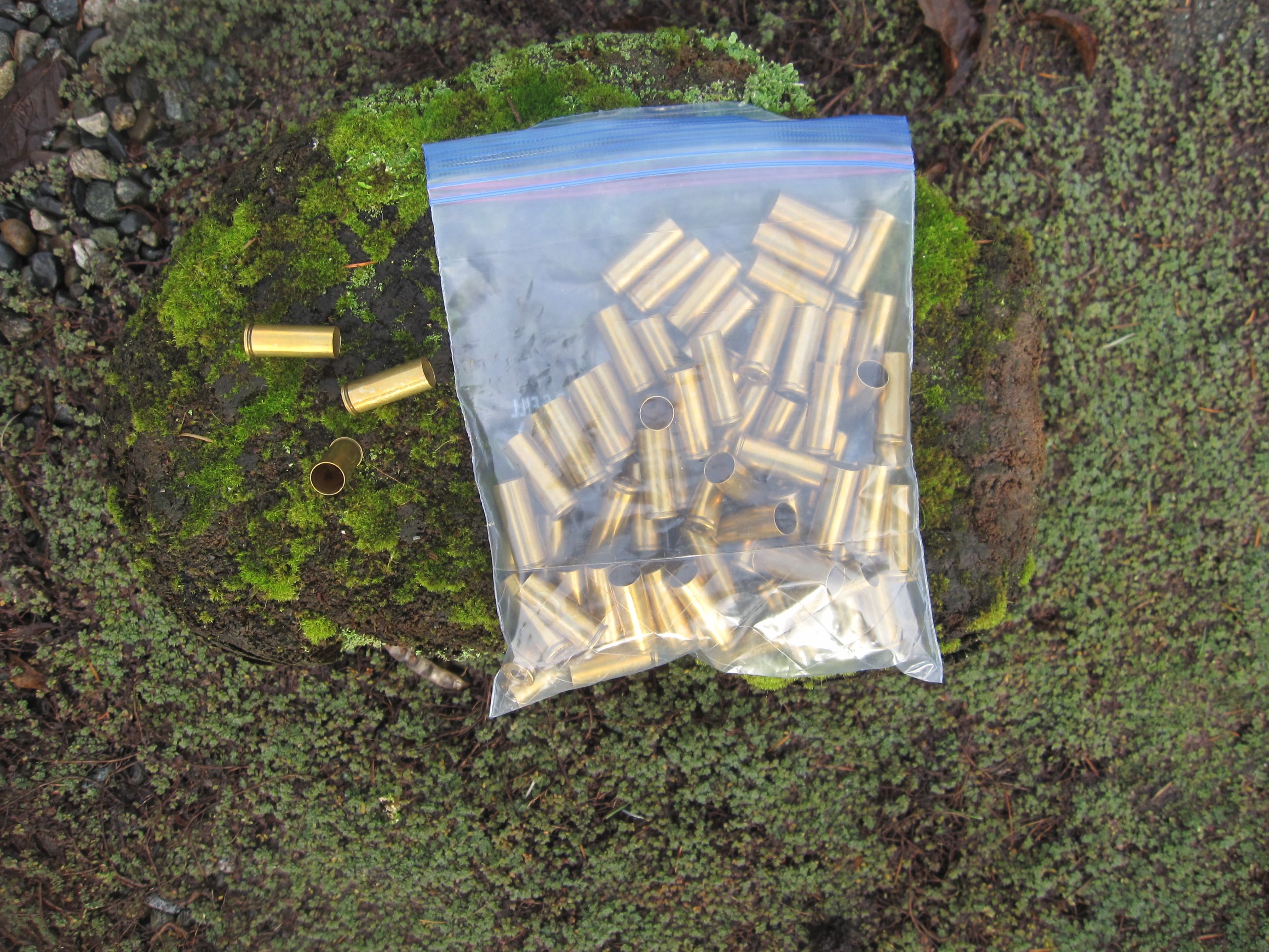 9mm Brass , .45 Colt Brass, .38 Special Brass, CCI And Federal Small Pistol Primers - 2 - 1766612611558_IMG_4080