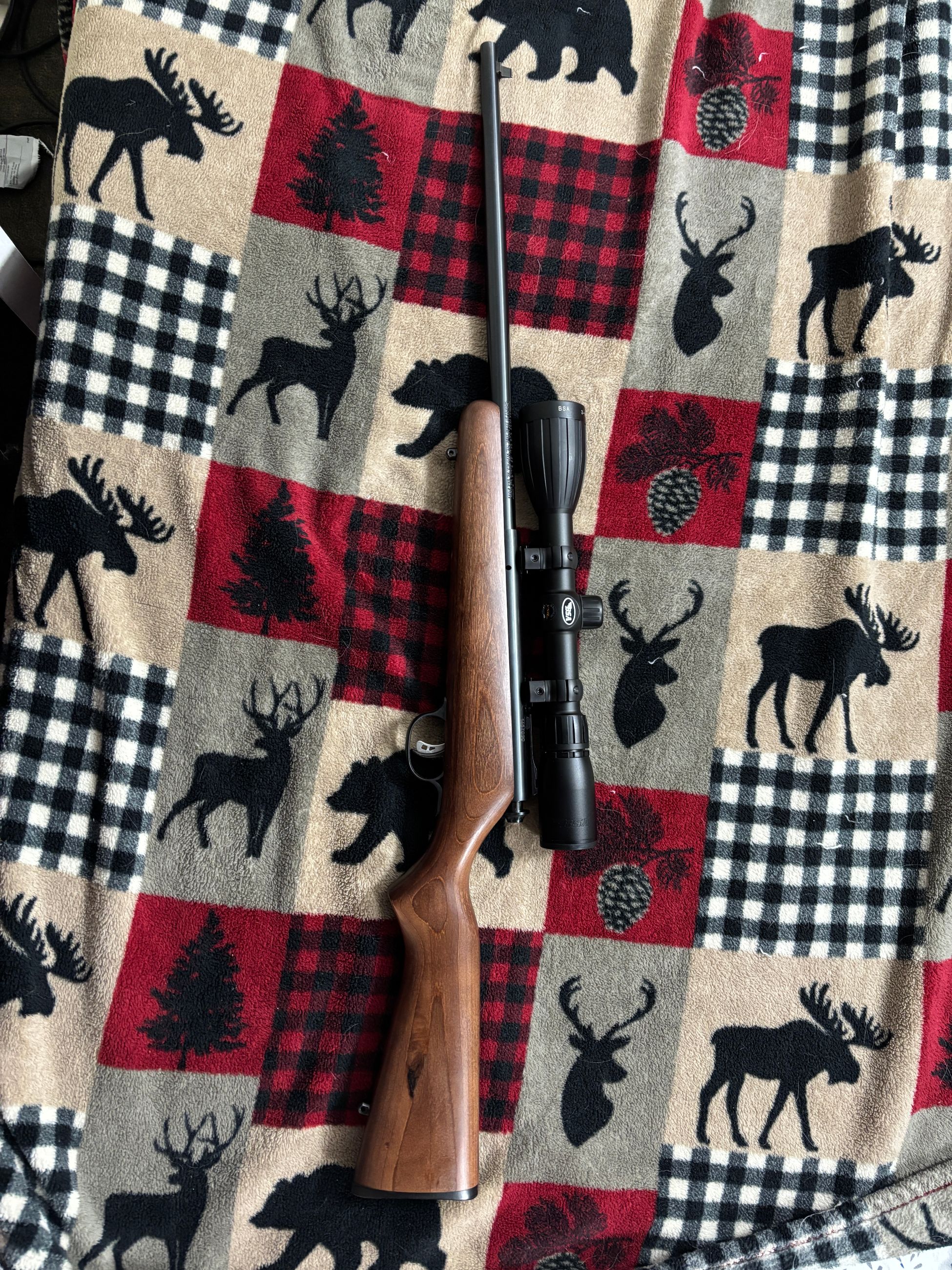 Photo of Savage Cub .22LR