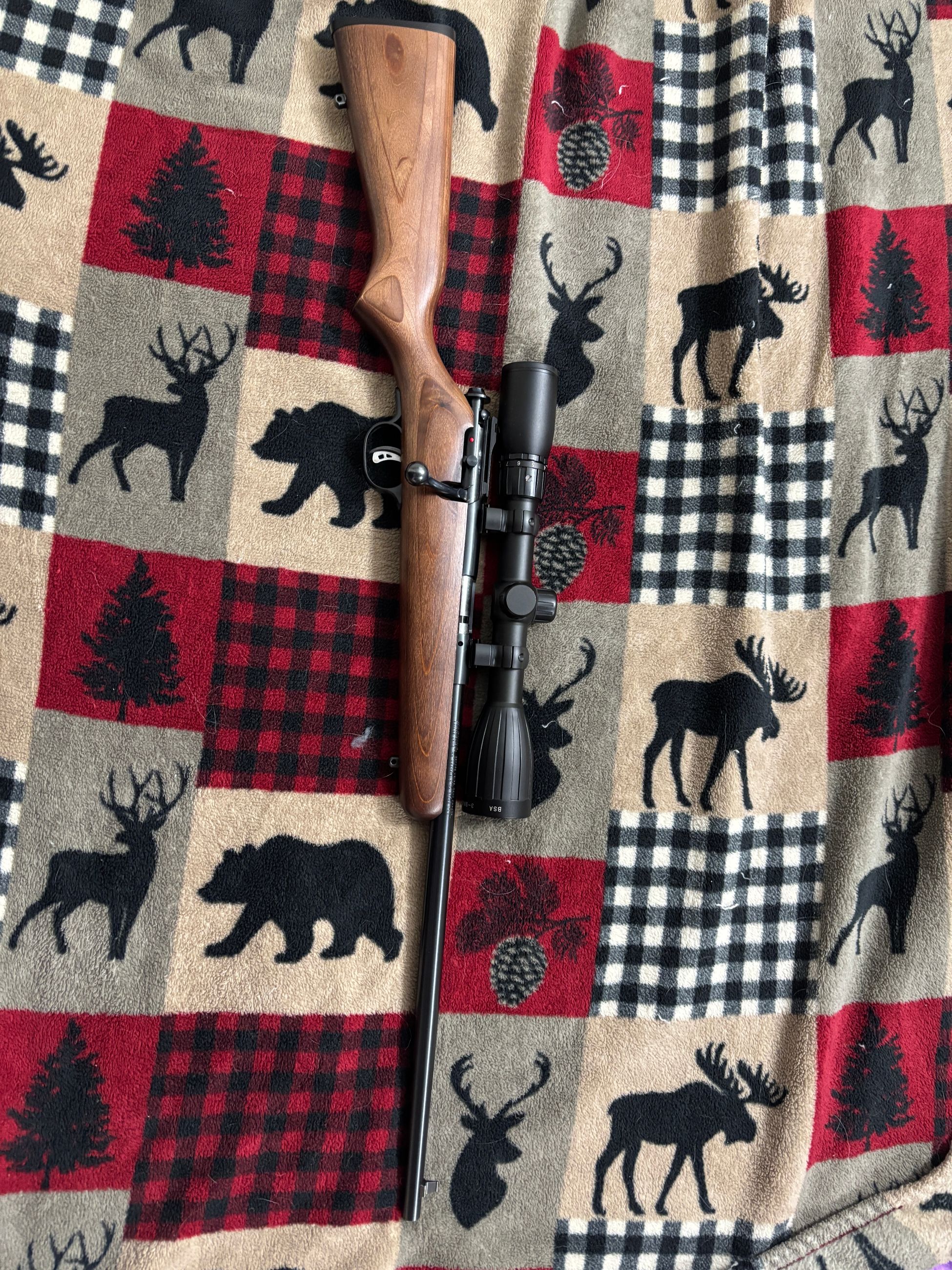 Photo of Savage Cub .22LR