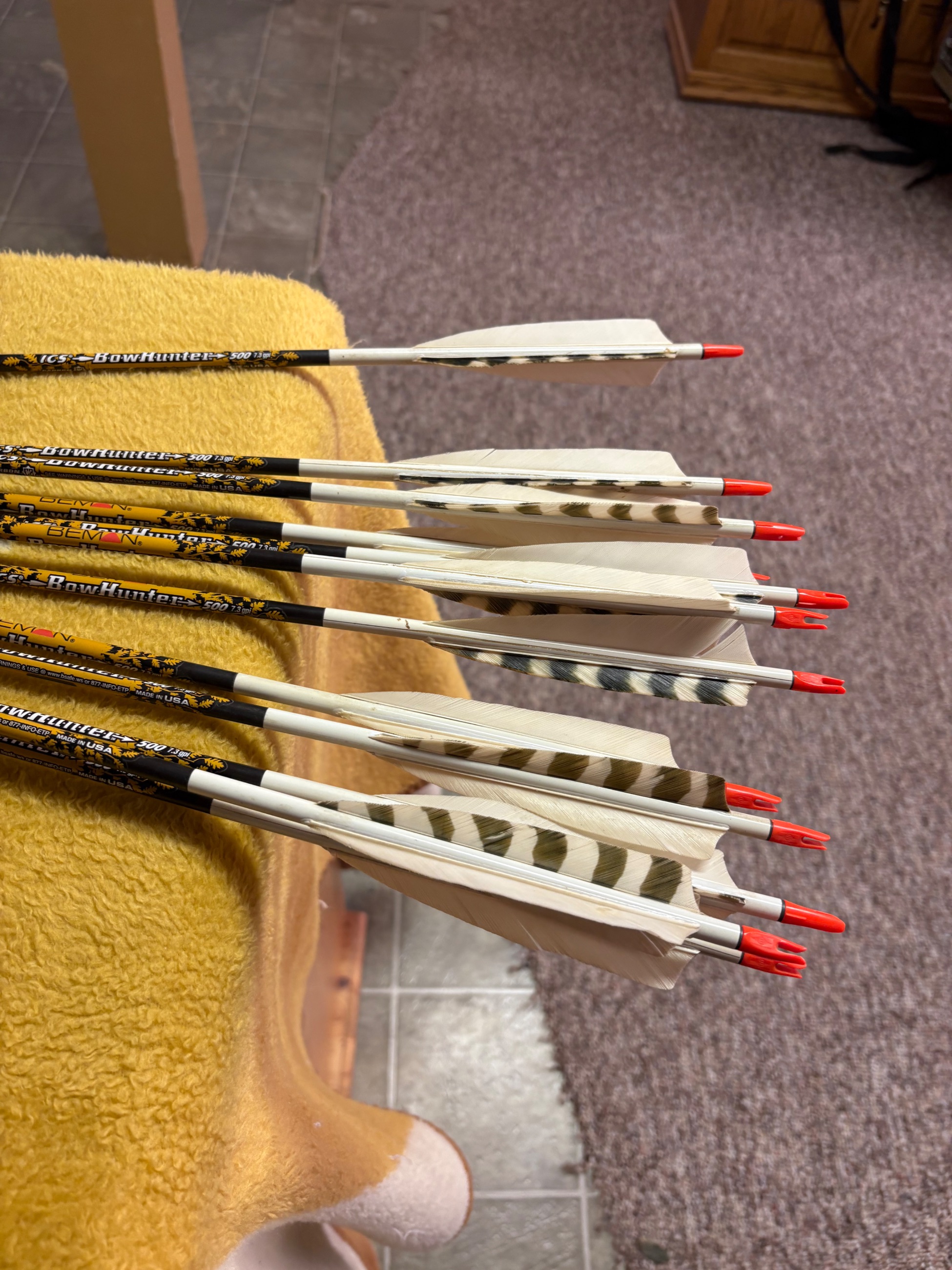 Photo of 12 Beman 500 arrow 29 inches long feathers