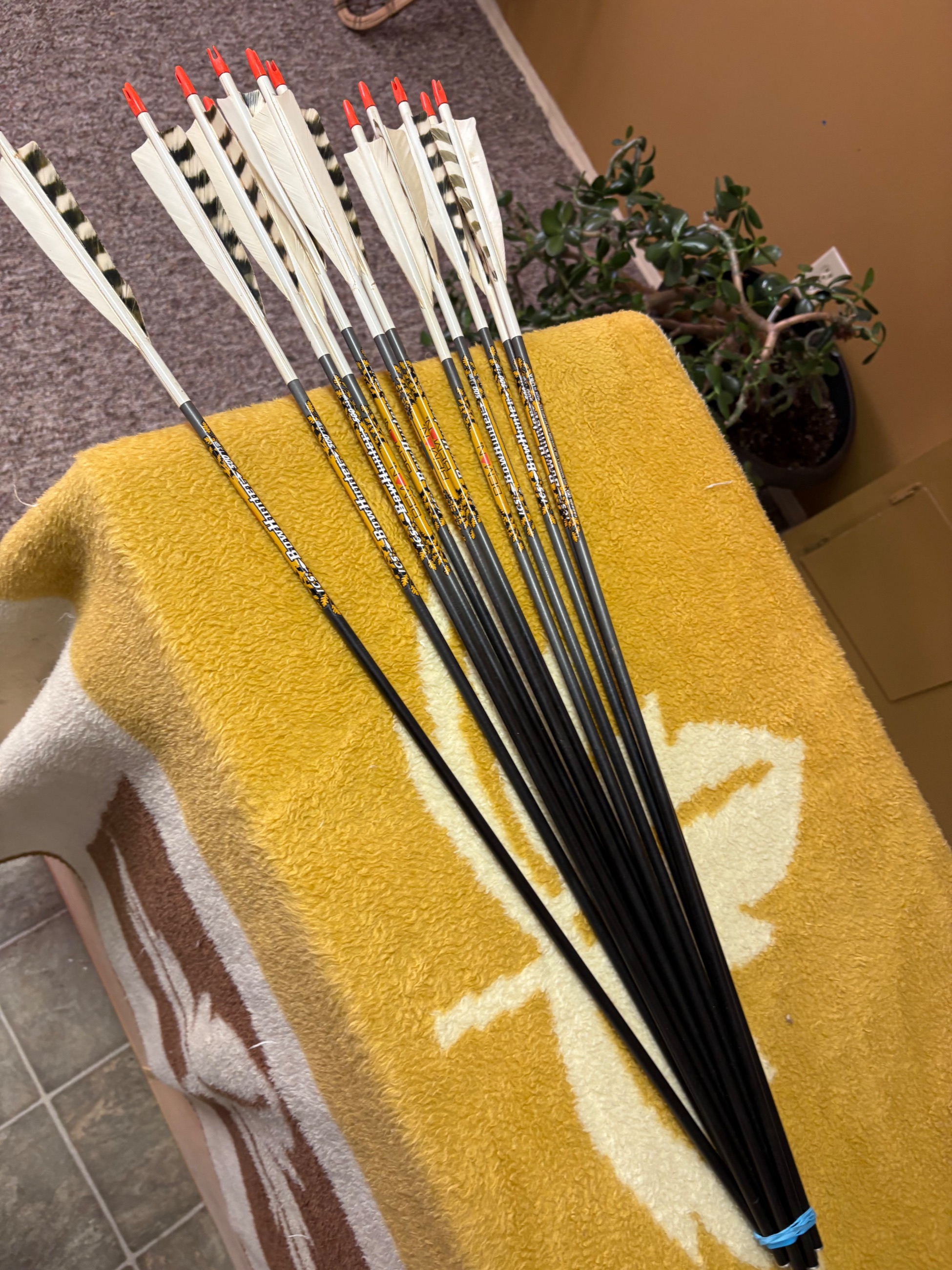 Photo of 12 Beman 500 arrow 29 inches long feathers