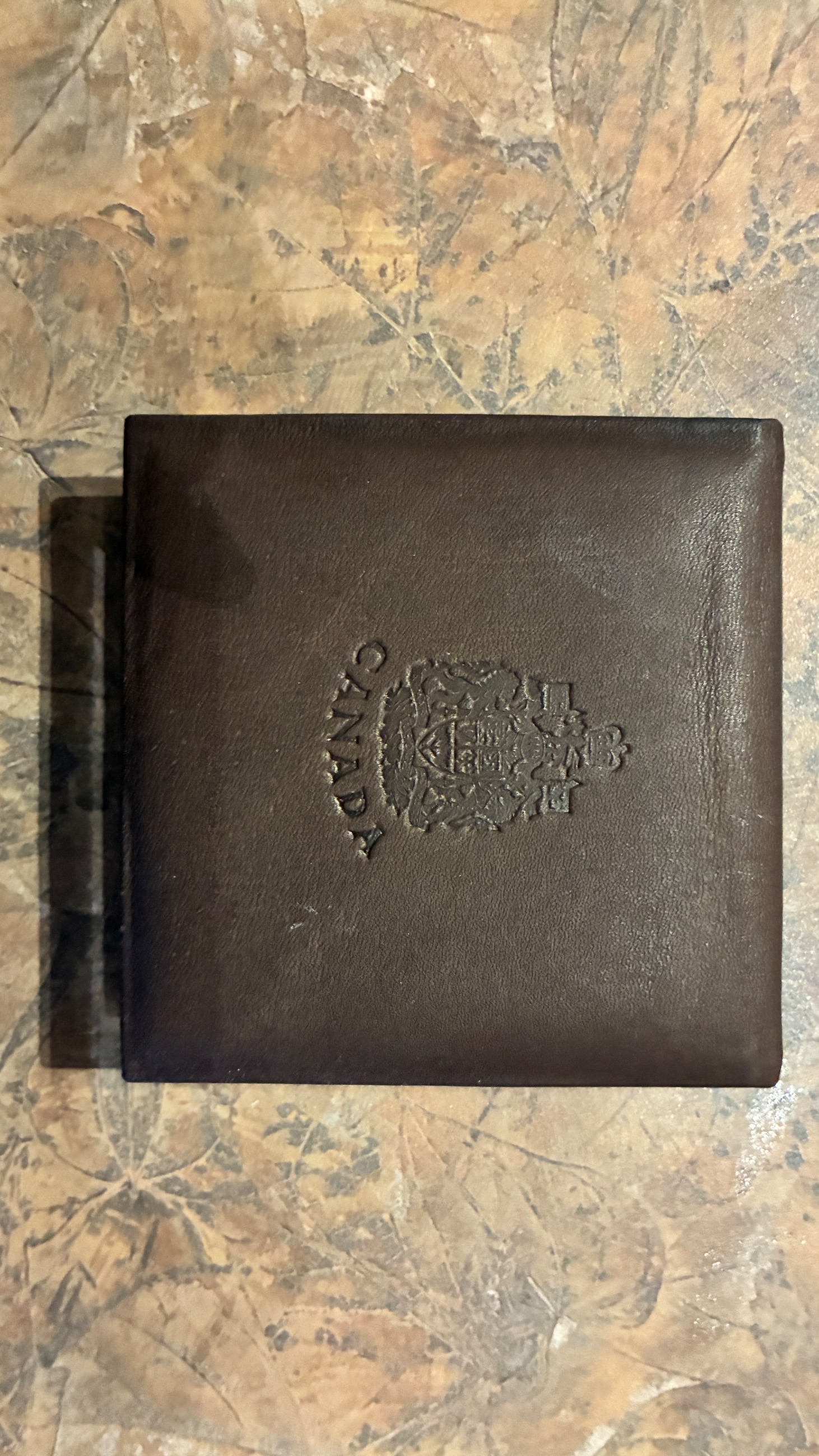 Photo of 1976 $100.00 Canadian 22 karat gold coin