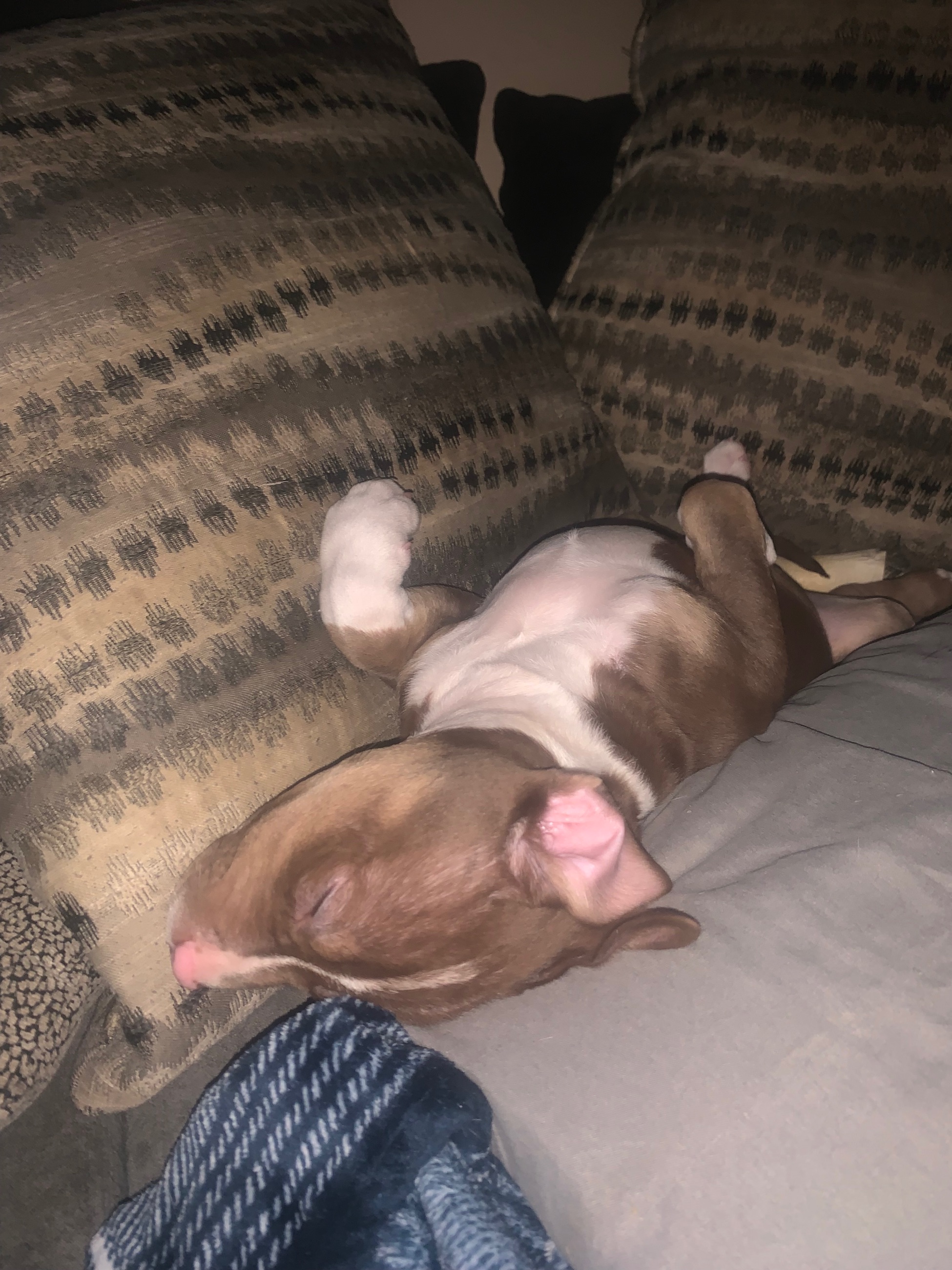 In need of a home  - 4 - 1767121662985_IMG_3479