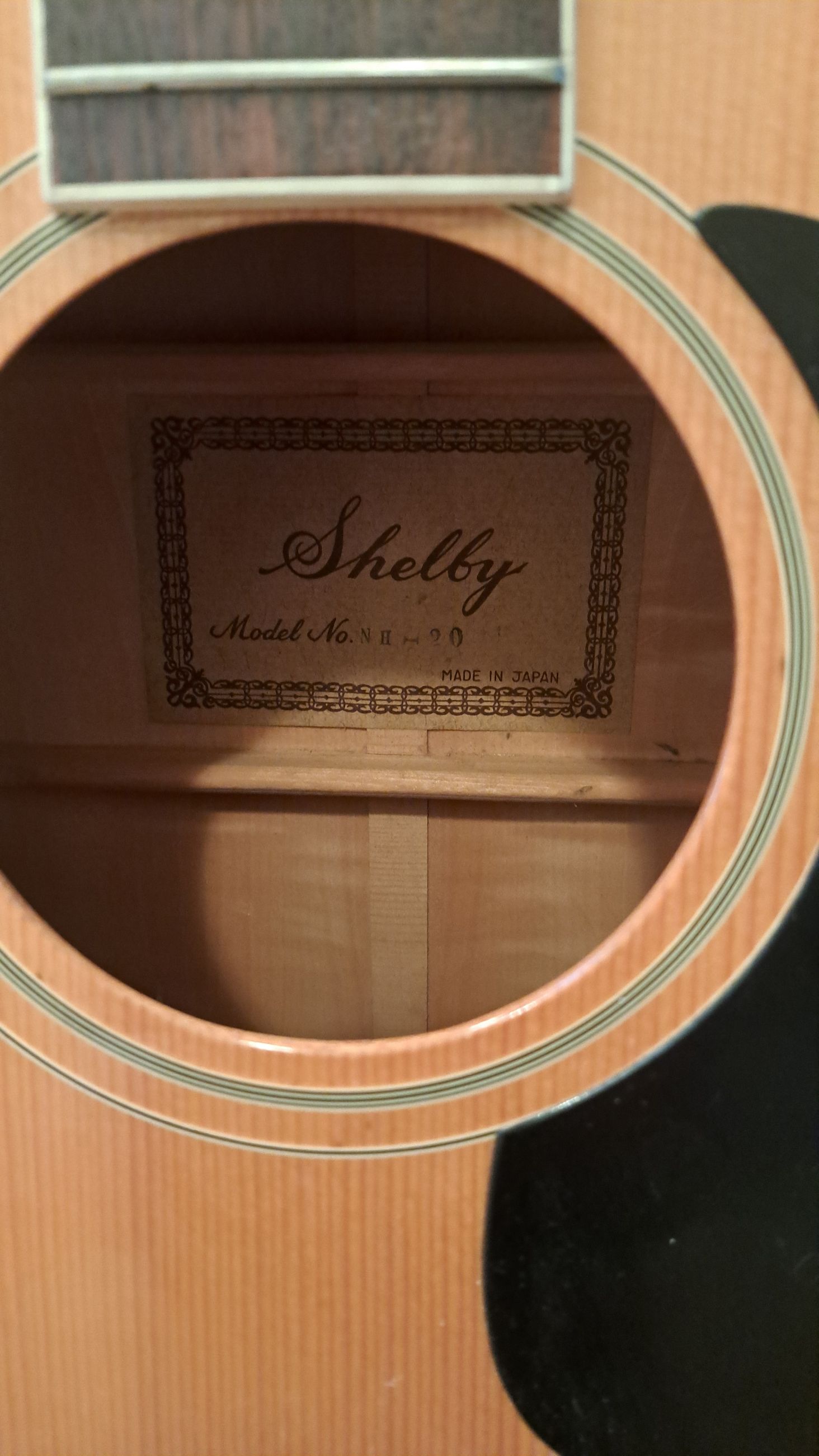 Photo of Shelby NH-20 12 String Acoustic