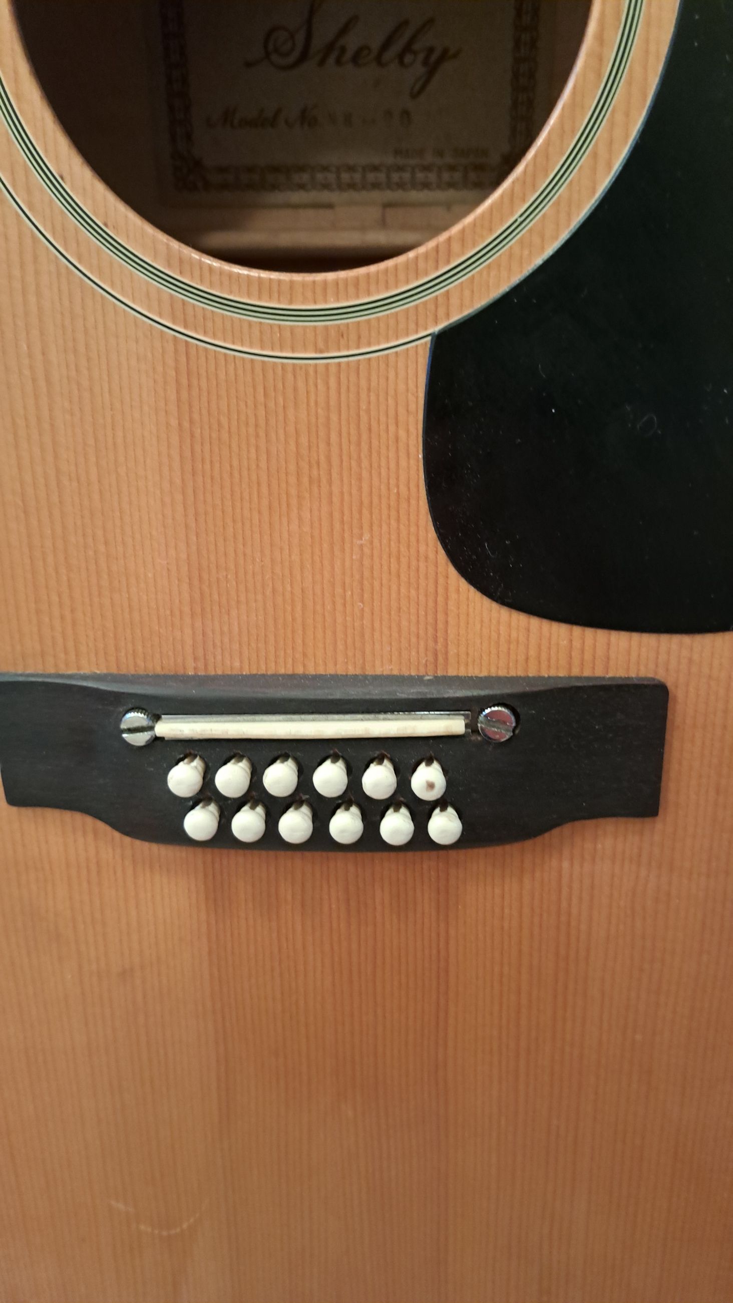 Photo of Shelby NH-20 12 String Acoustic