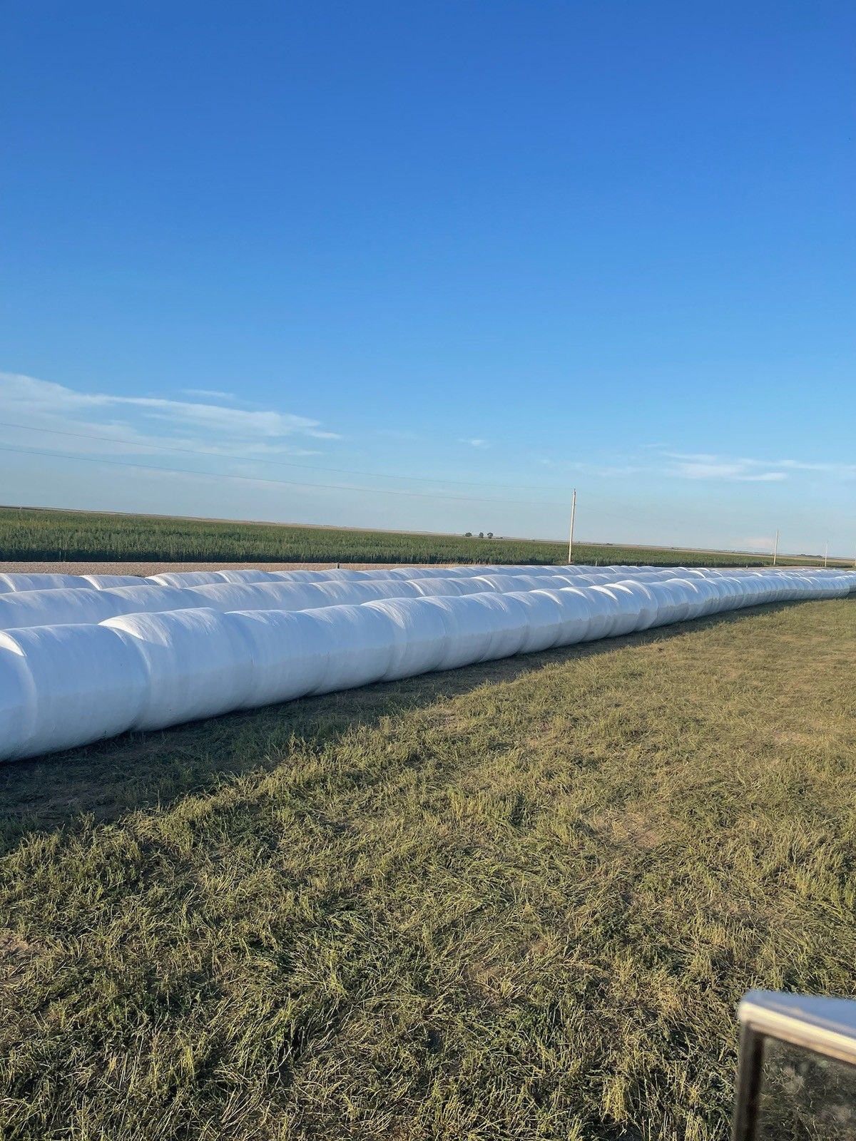 Photo of ALFALFA HAYLAGE