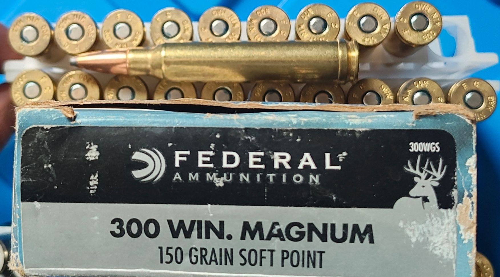 Photo of .300 Win Mag ammo