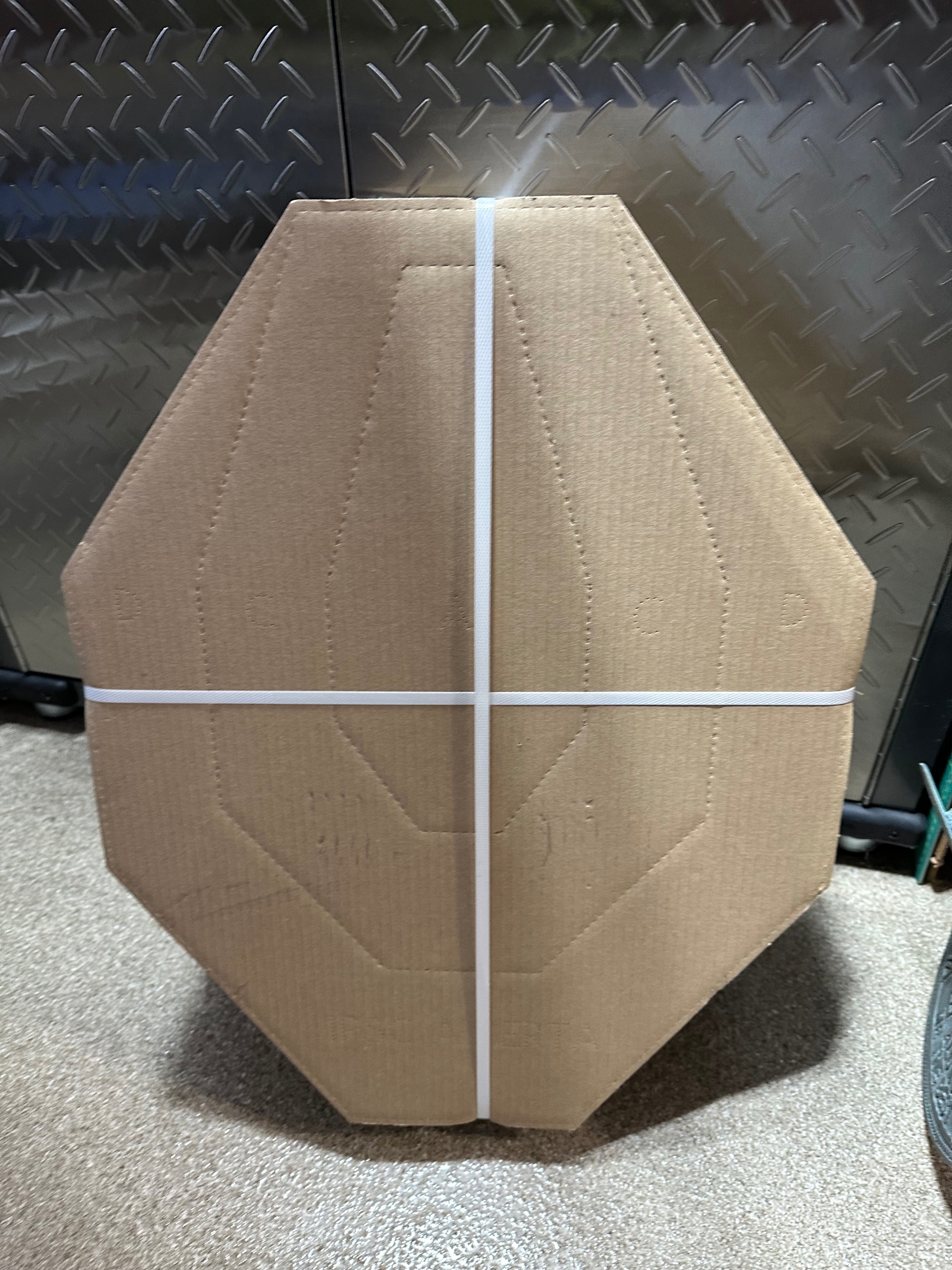 Photo of IPSC targets and case