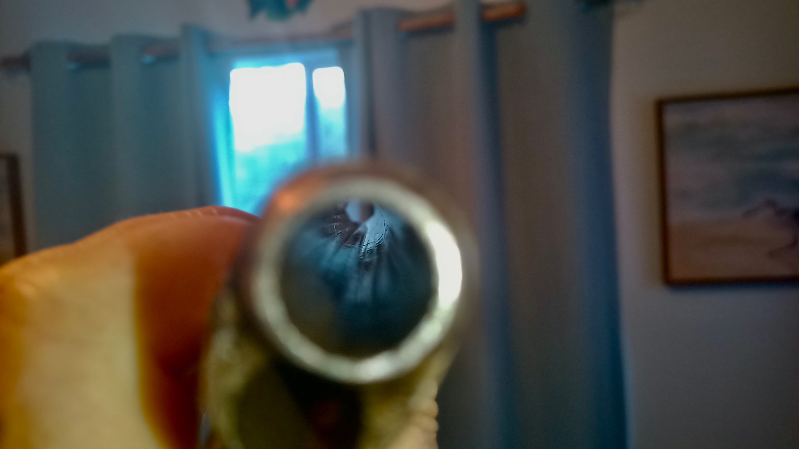 1860 COLT Army .44 Percussin Revolver - 12 - 1767660439248_IMG_20260105_151237_054