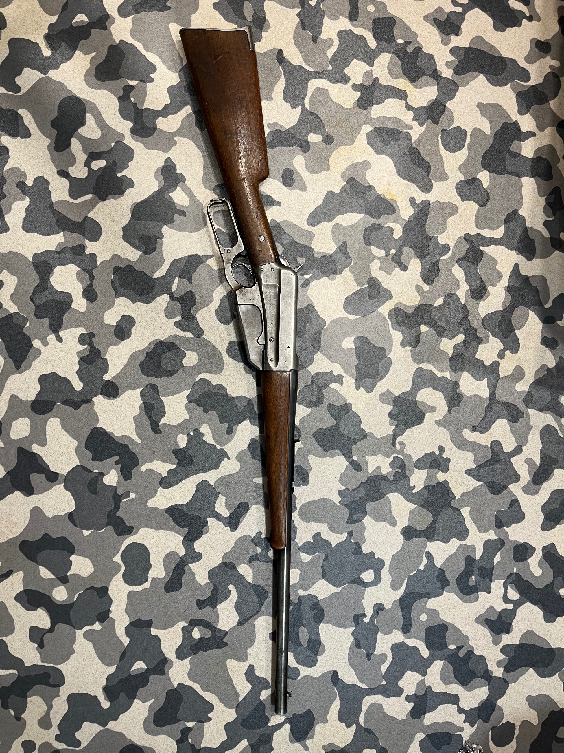 Photo of Winchester 1895 in .30 Army