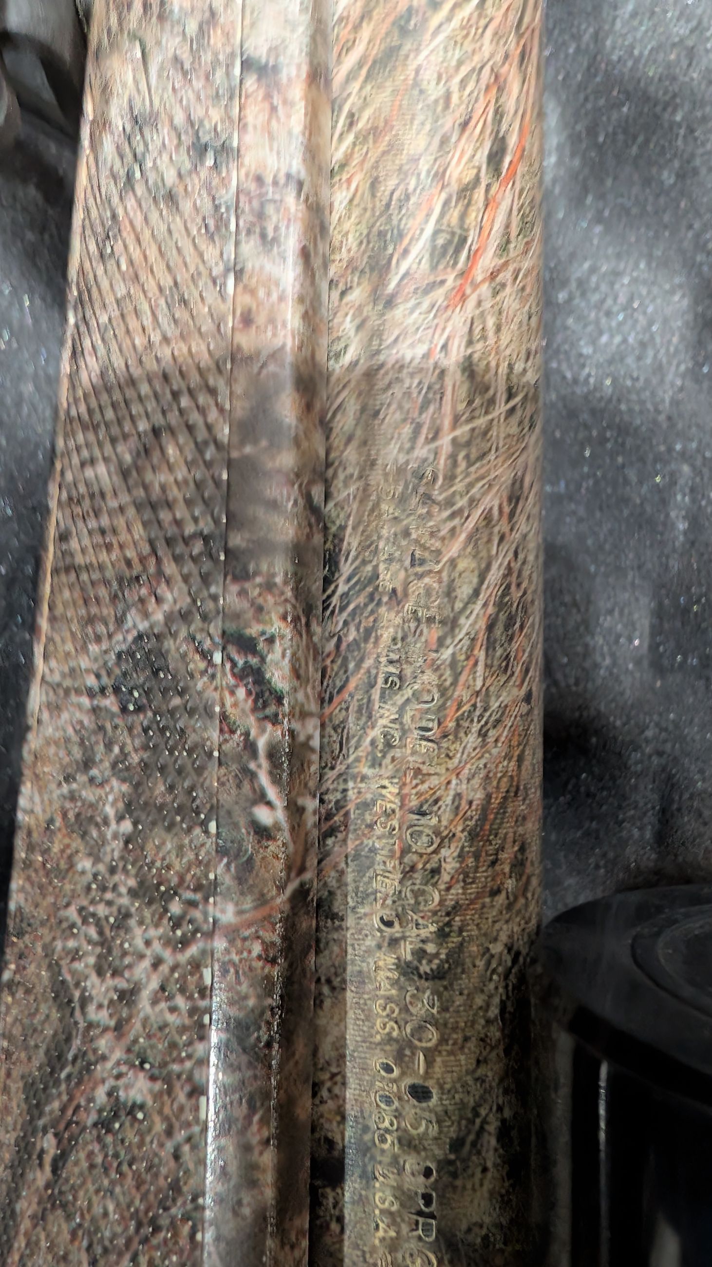 Photo of Camo Savage Model 10 30-06 with Scope, Tripod and Shoulder Strap