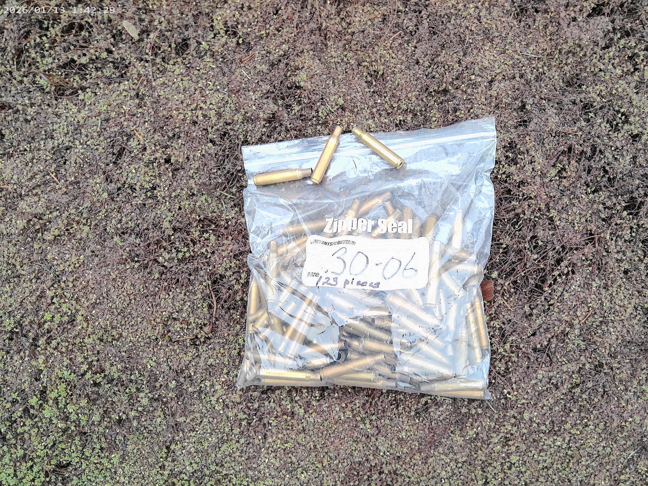 Photo of .30-06 Brass