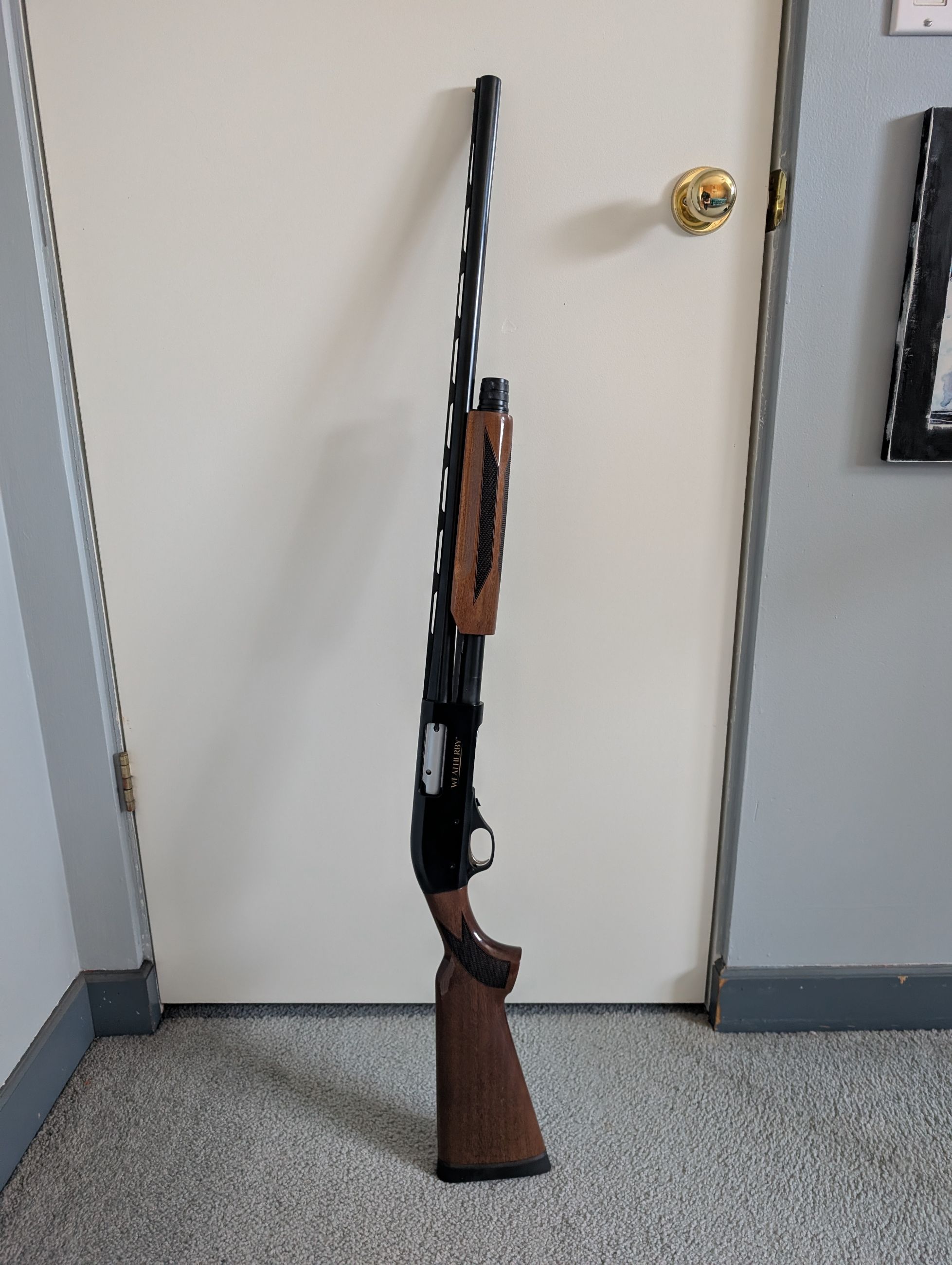 Photo of Weatherby pa-08