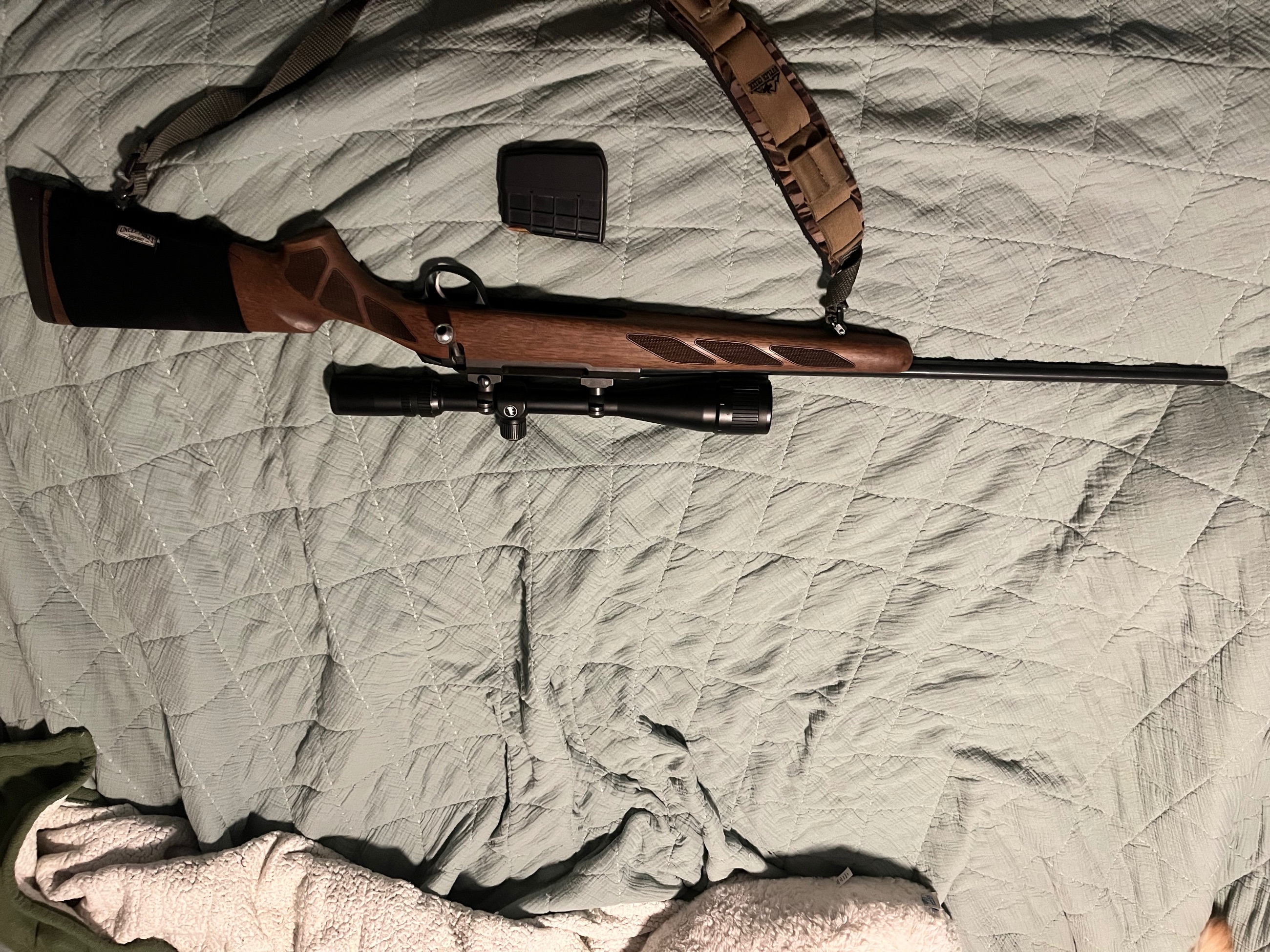 Photo of Tikka 223 