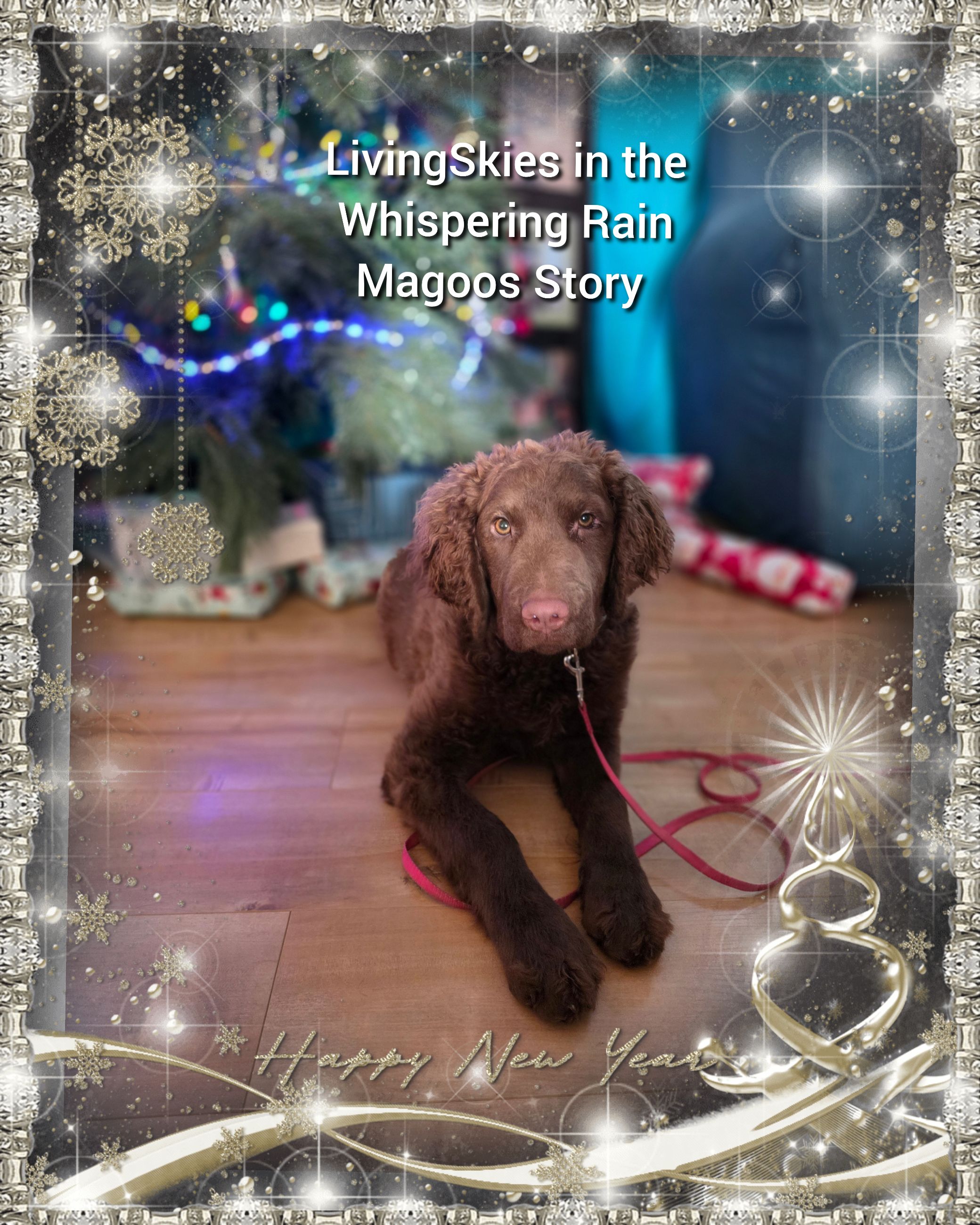 Photo of 3 Beautiful Chesapeake Bay Retrievers 