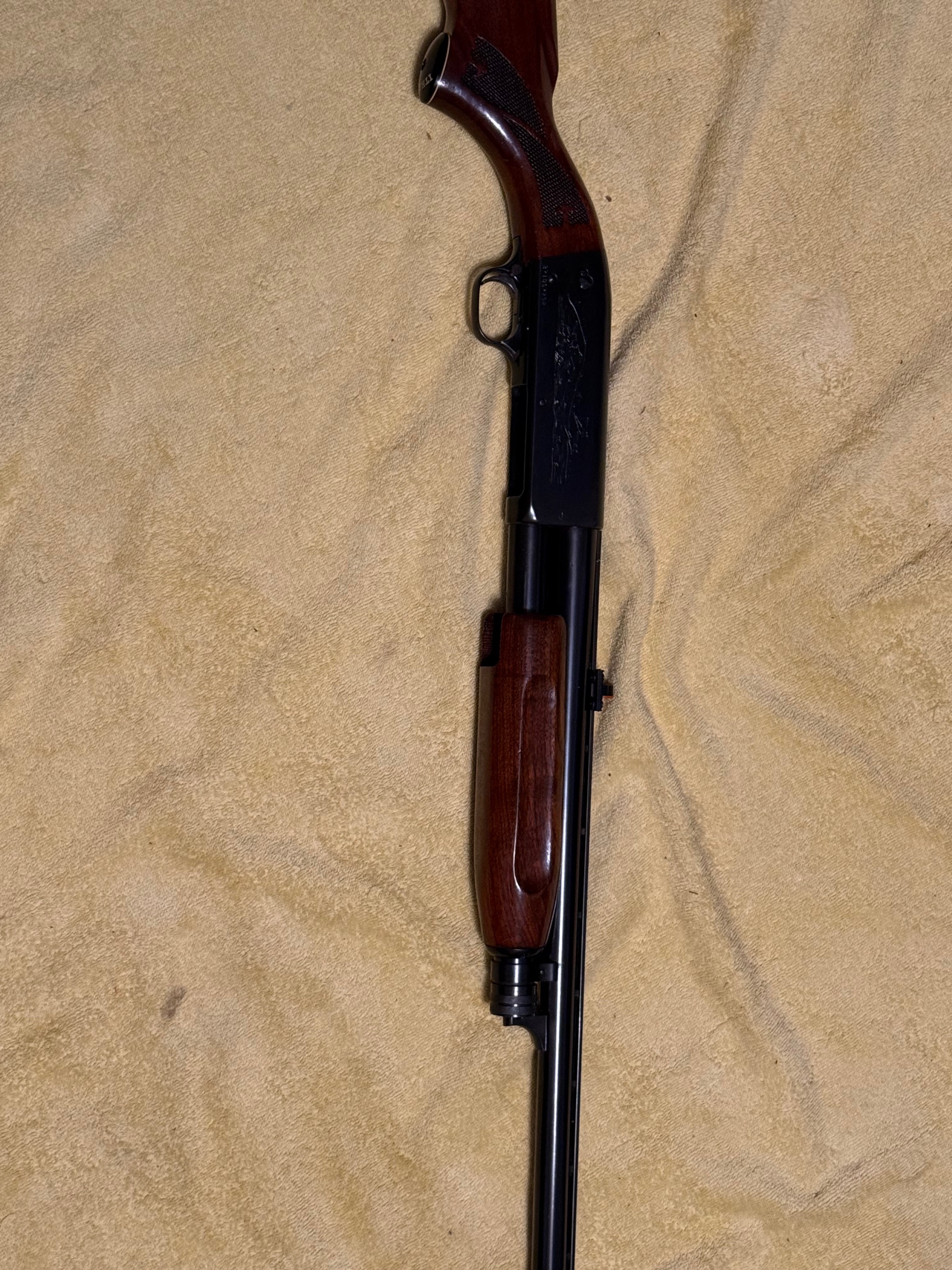 Photo of Ithaca 37 clean