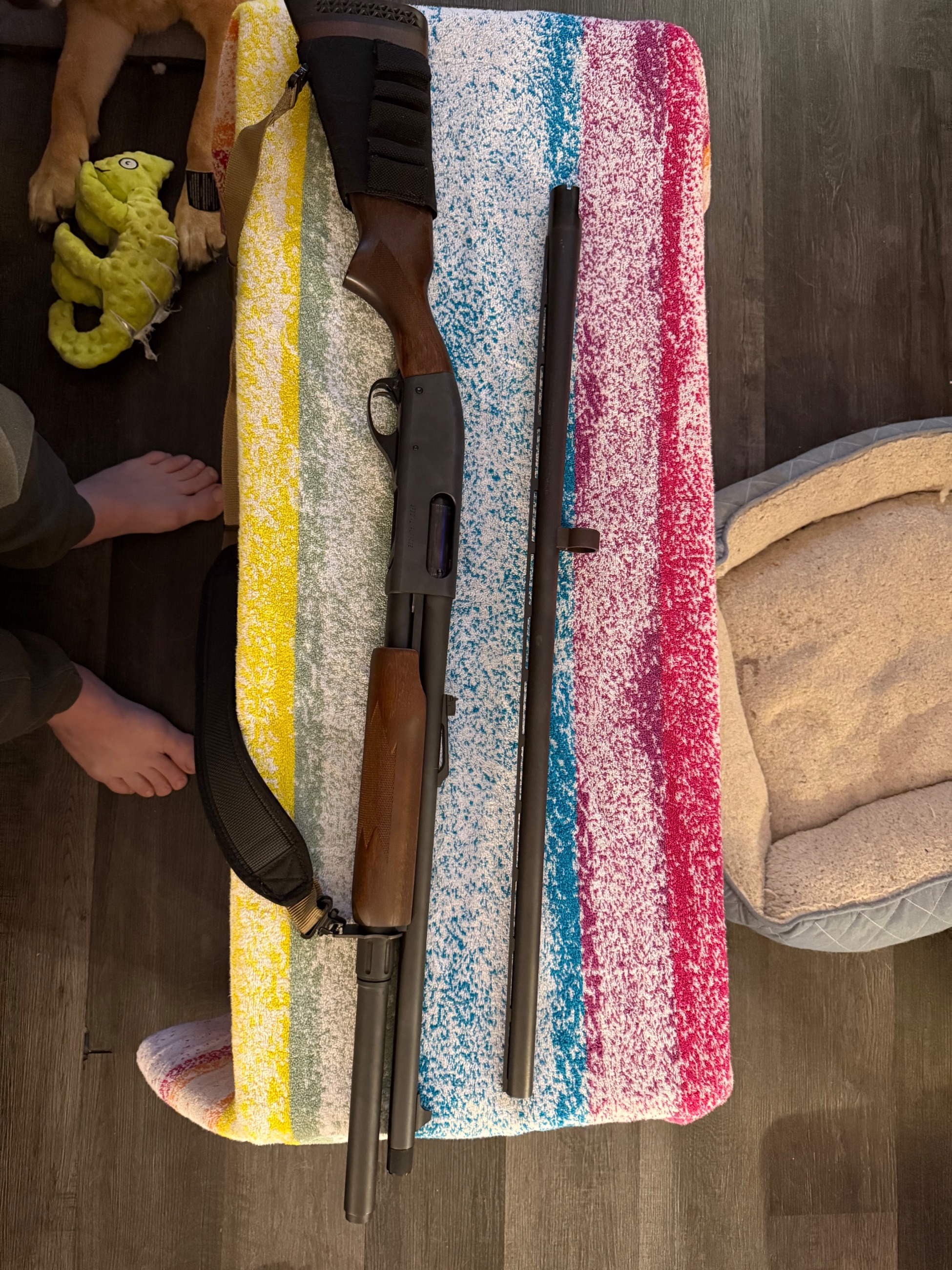 Photo of Remington 870 express mag with 2 barrels 