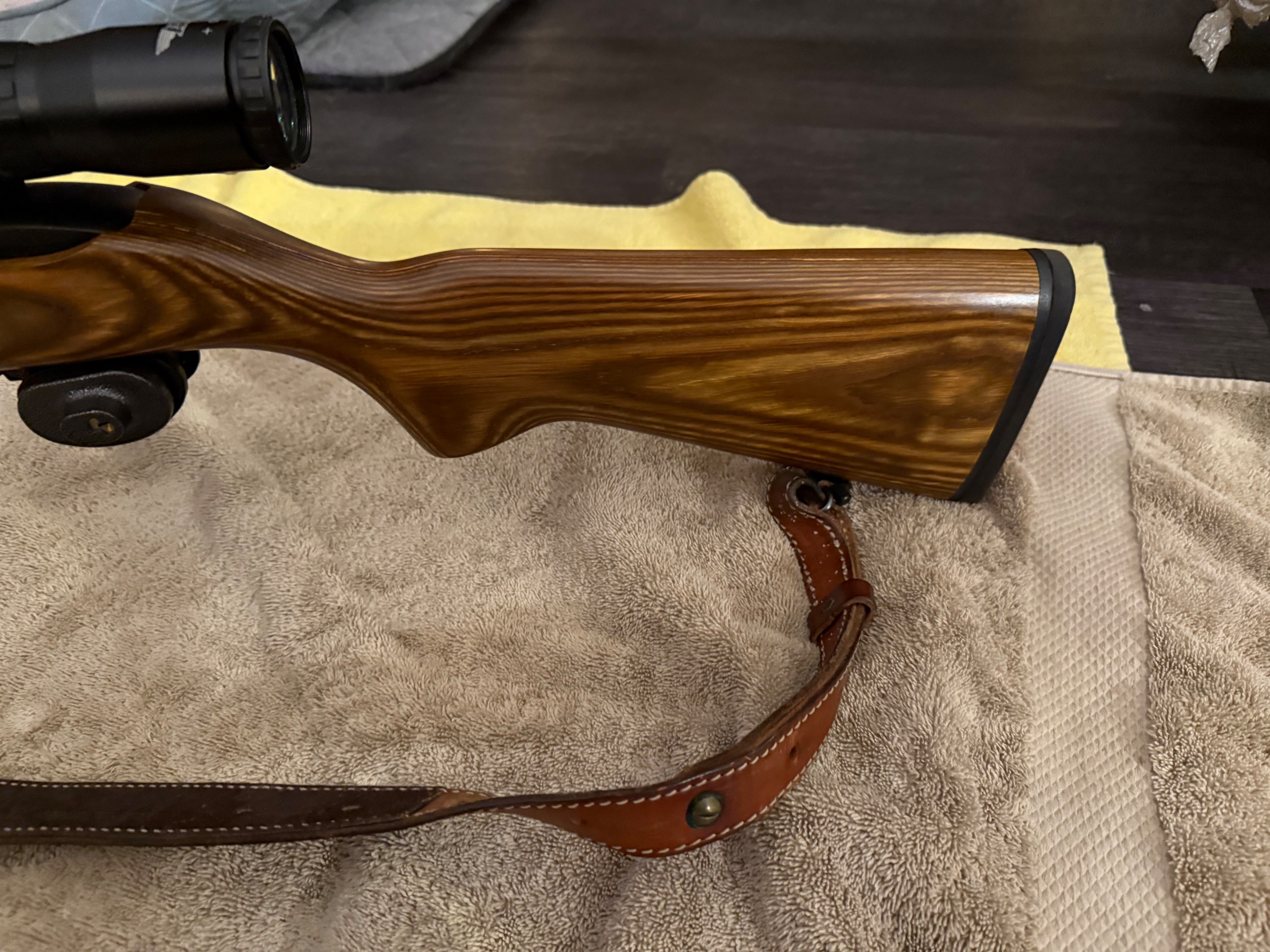Photo of Ruger 10/22 target model with bsa sweet 22 6x18