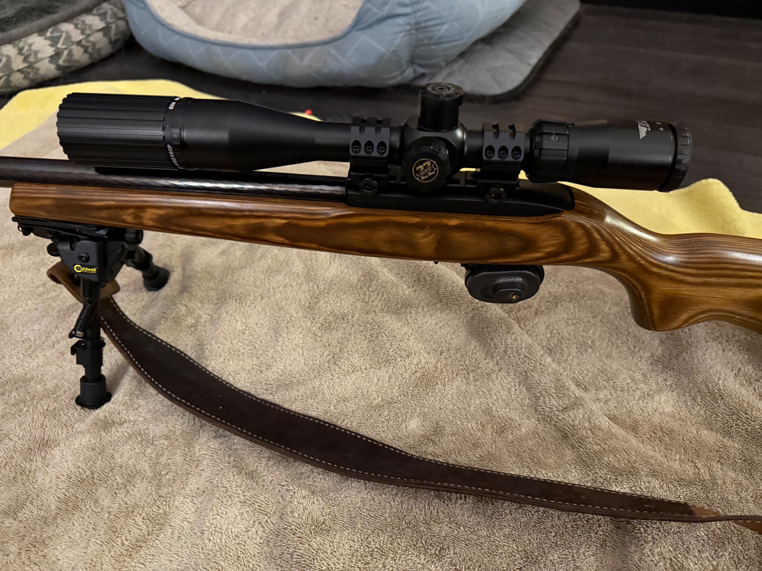 Photo of Ruger 10/22 target model with bsa sweet 22 6x18