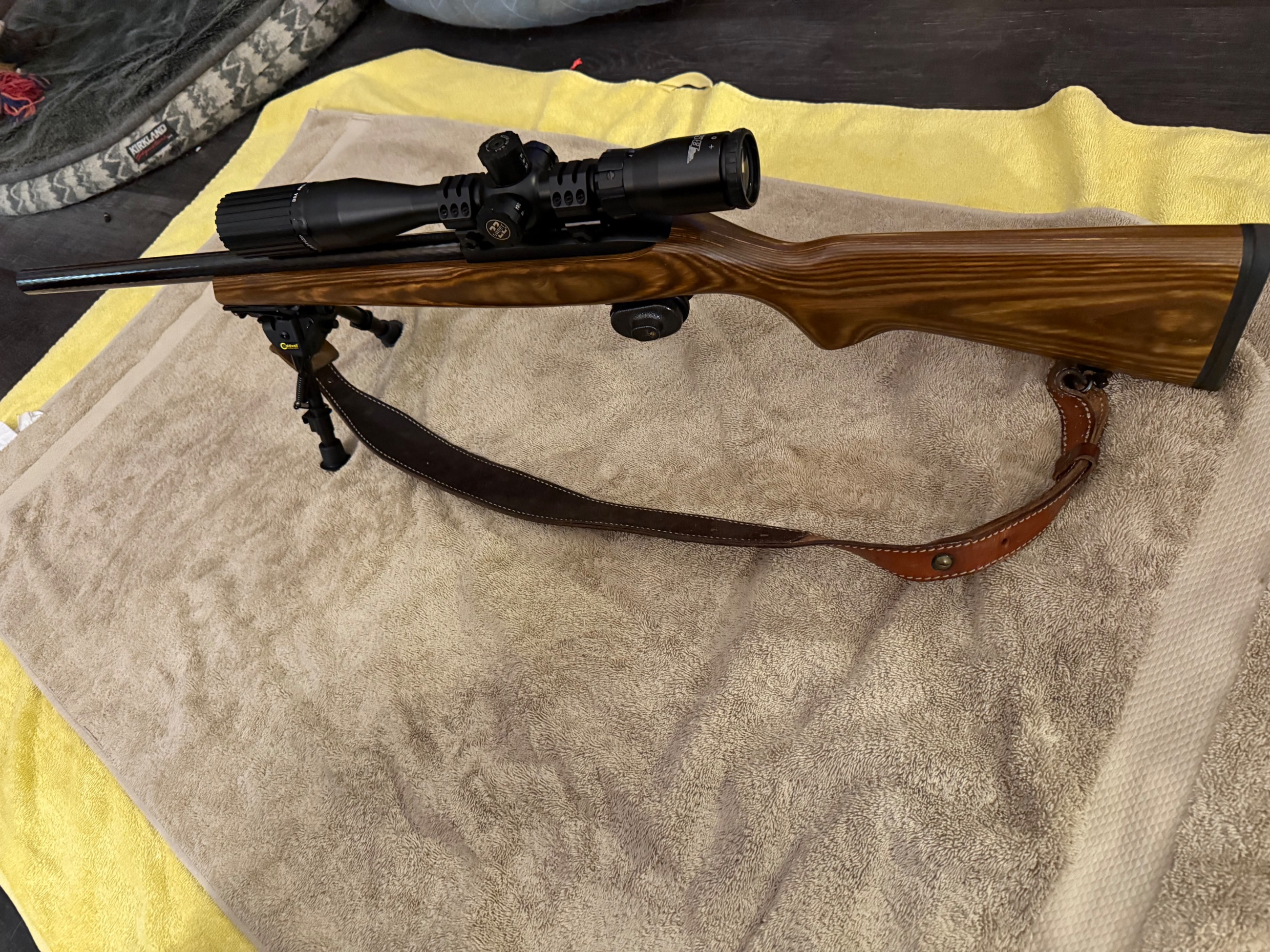Photo of Ruger 10/22 target model with bsa sweet 22 6x18