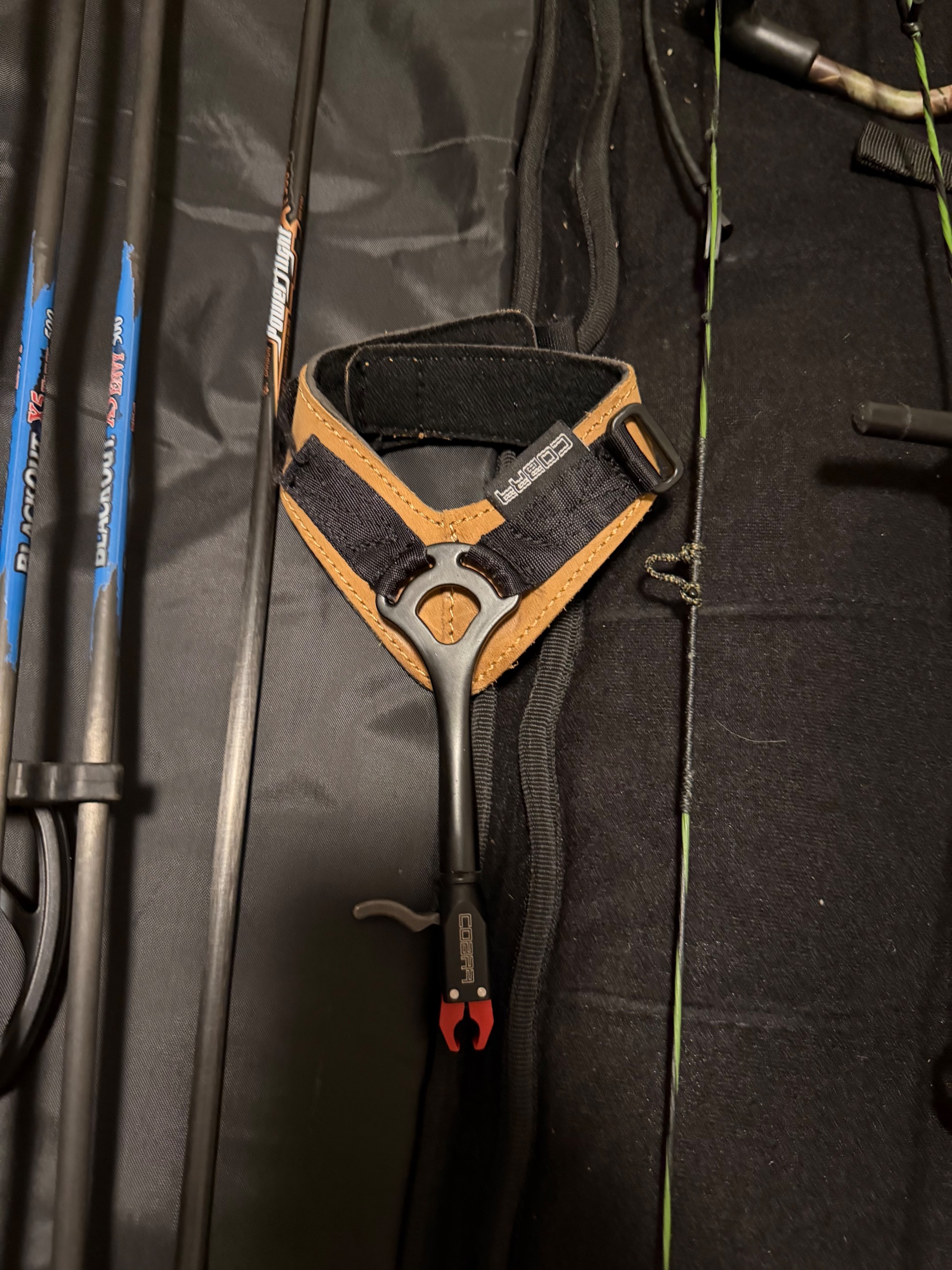 Photo of Bear Domain 50-60lb compound bow