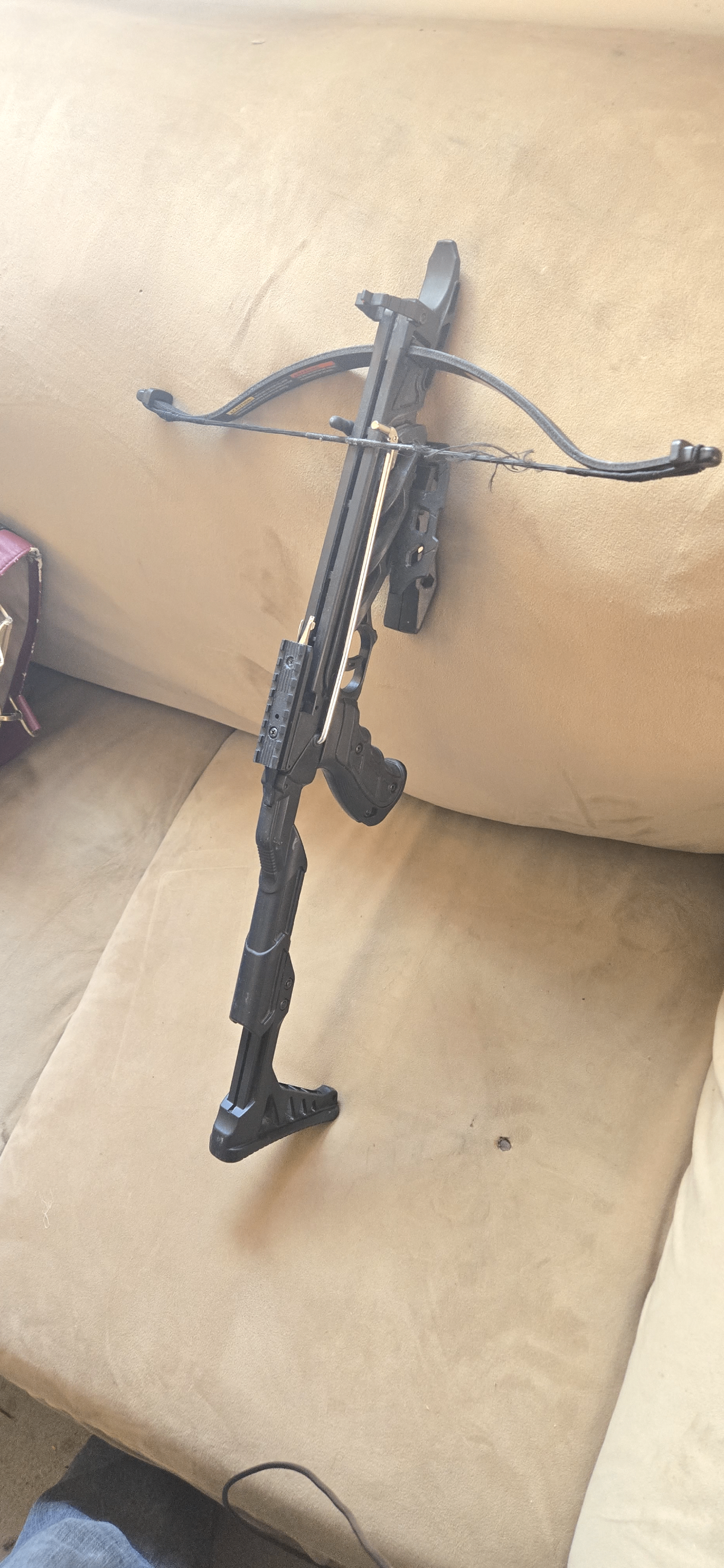 Photo of Crossbow & bolts