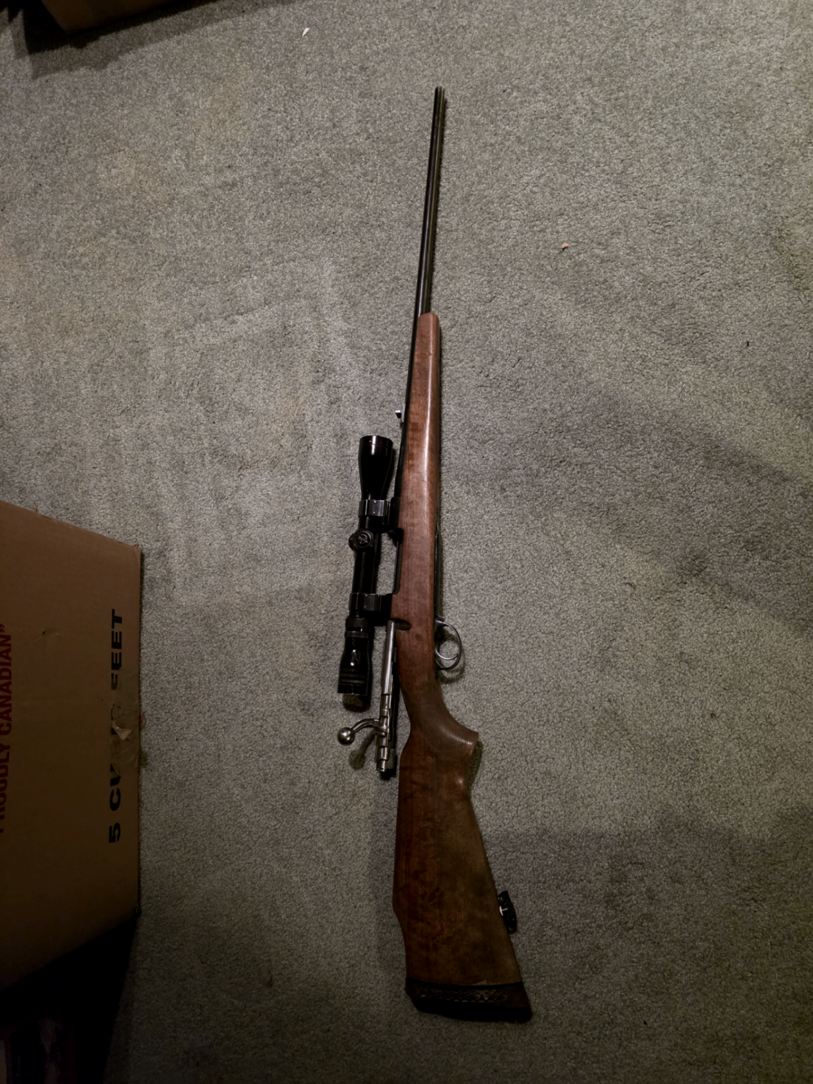 Photo of Alpine model sporter