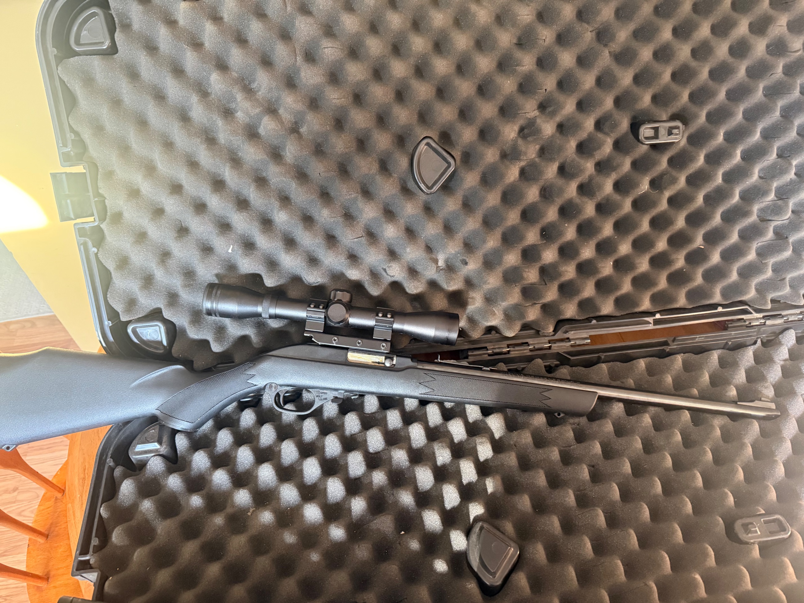 Photo of Marlin 795 .22 with scope