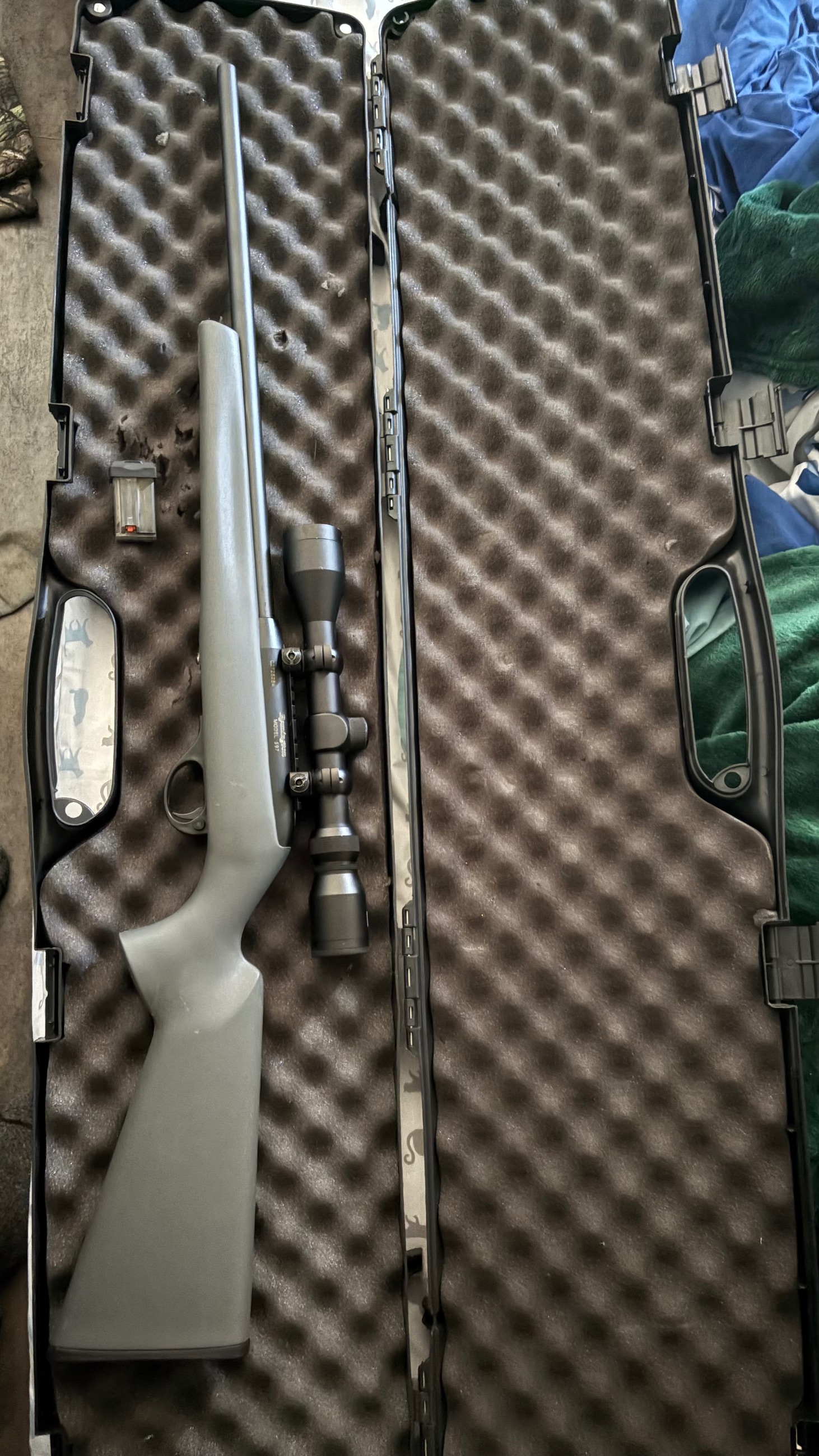 Photo of Remington 597 semi automatic 