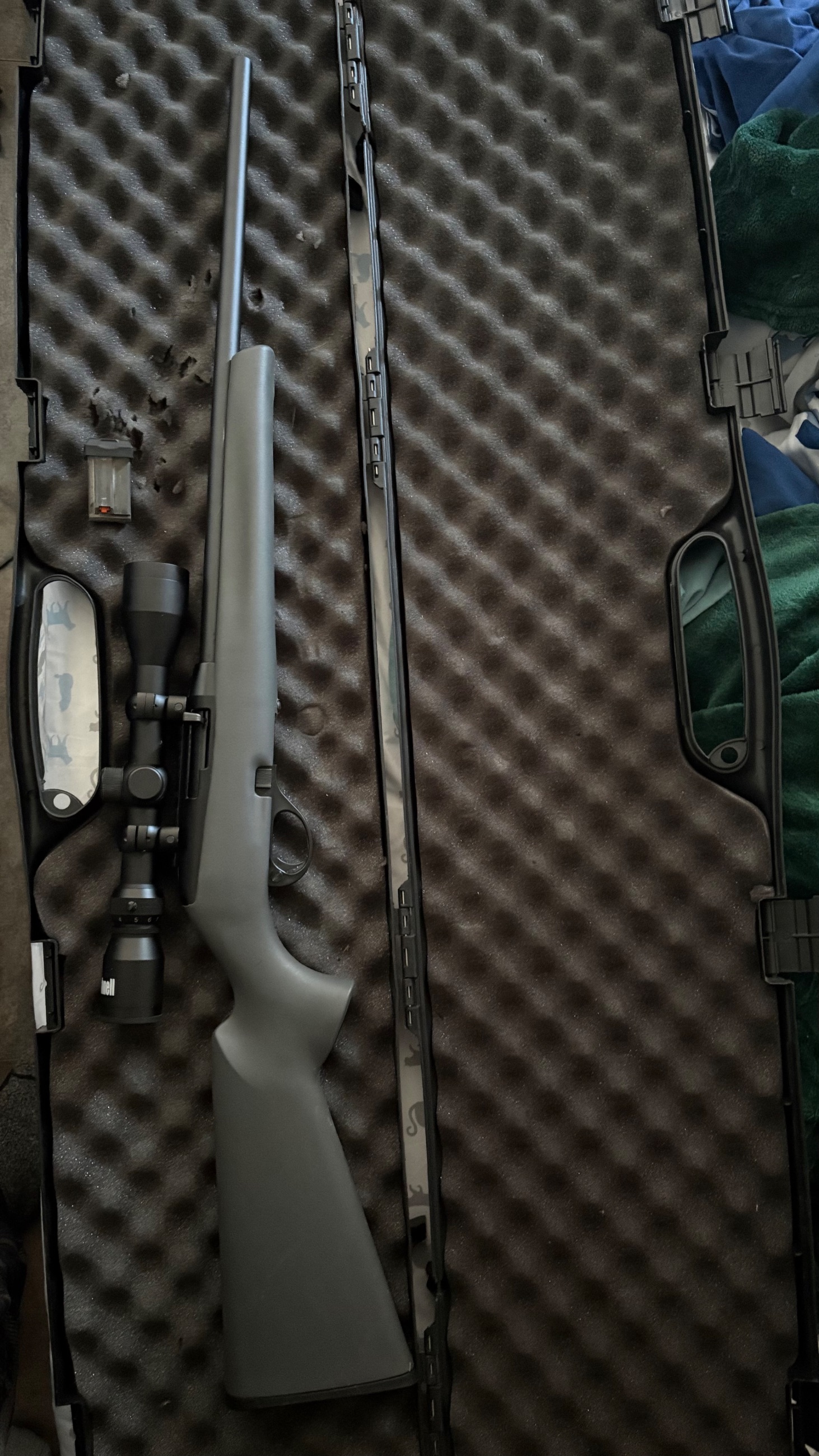 Photo of Remington 597 semi automatic 