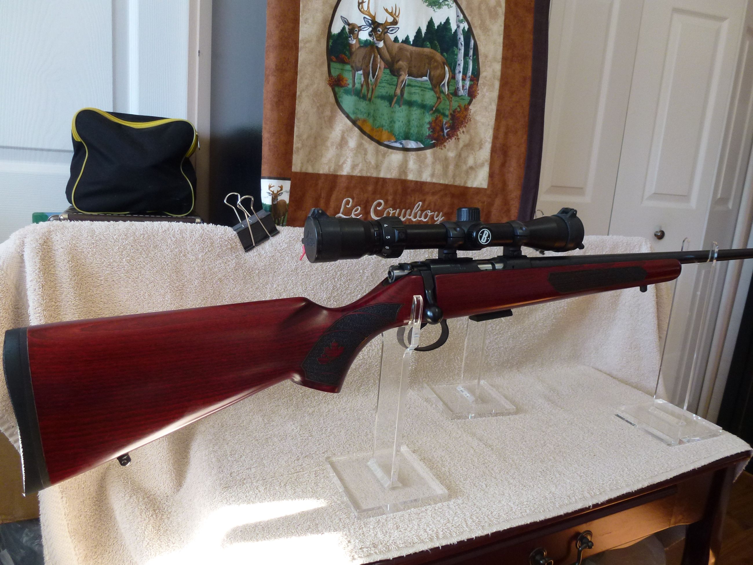 Photo of .22 MAG  ***CZ 455 CANADIAN EDITION in 22WMR WITH BUSHNELL SCOPE***