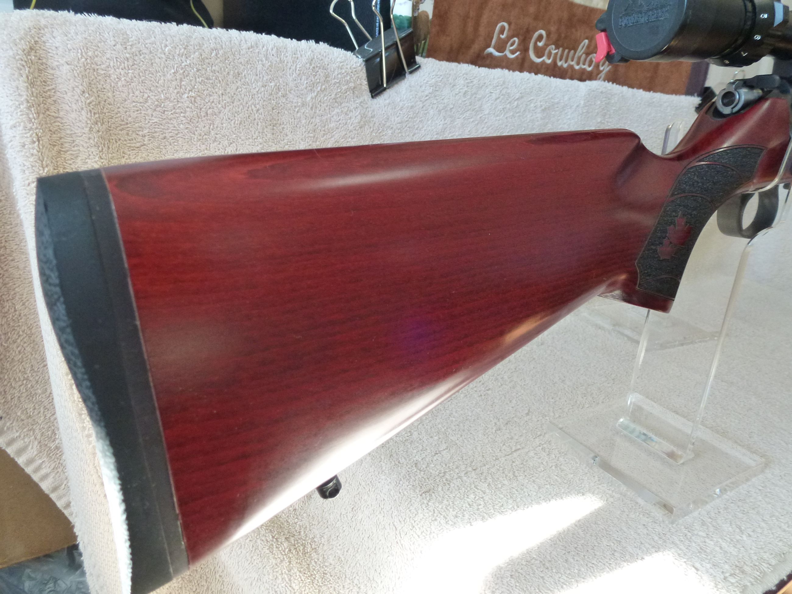 Photo of .22 MAG  ***CZ 455 CANADIAN EDITION in 22WMR WITH BUSHNELL SCOPE***