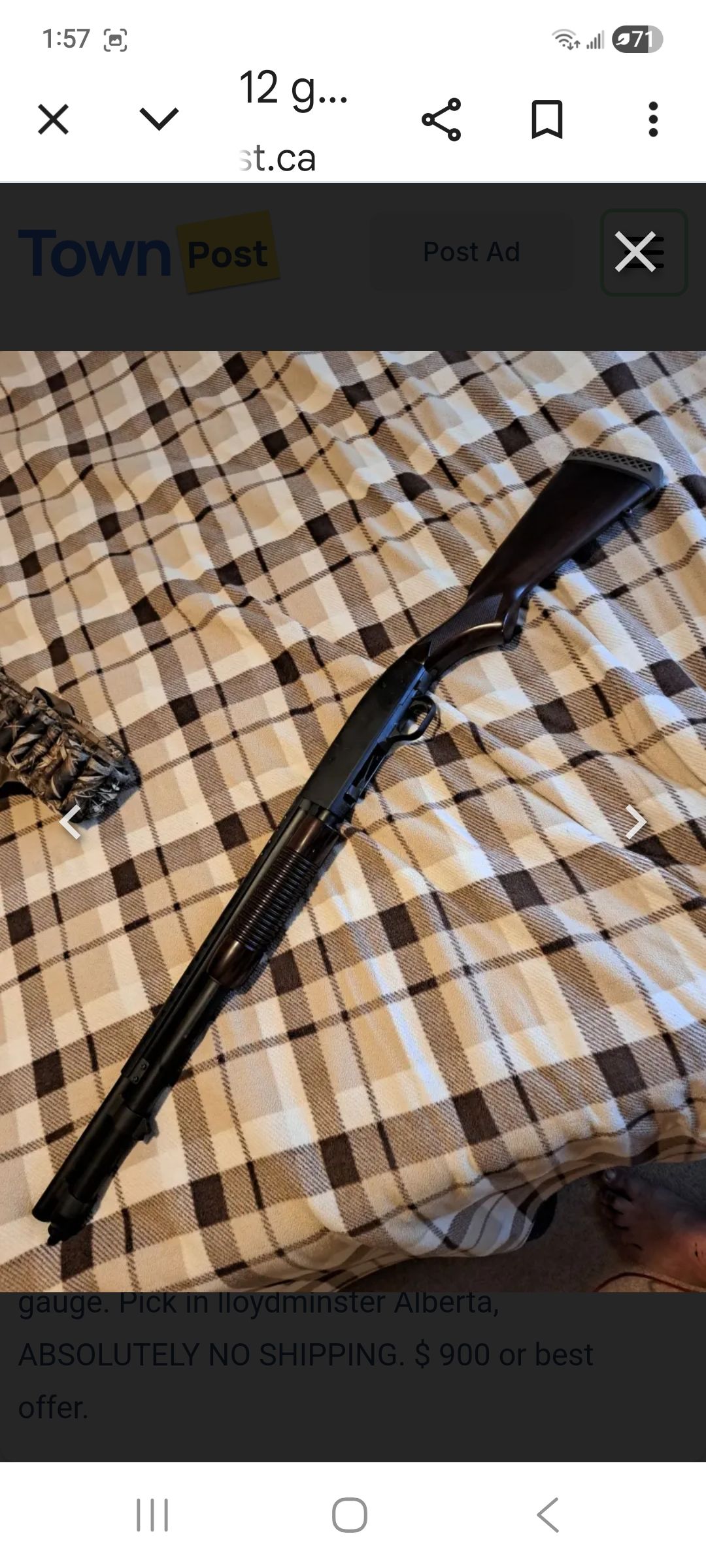 Photo of 12 gauge shot gun for sale 