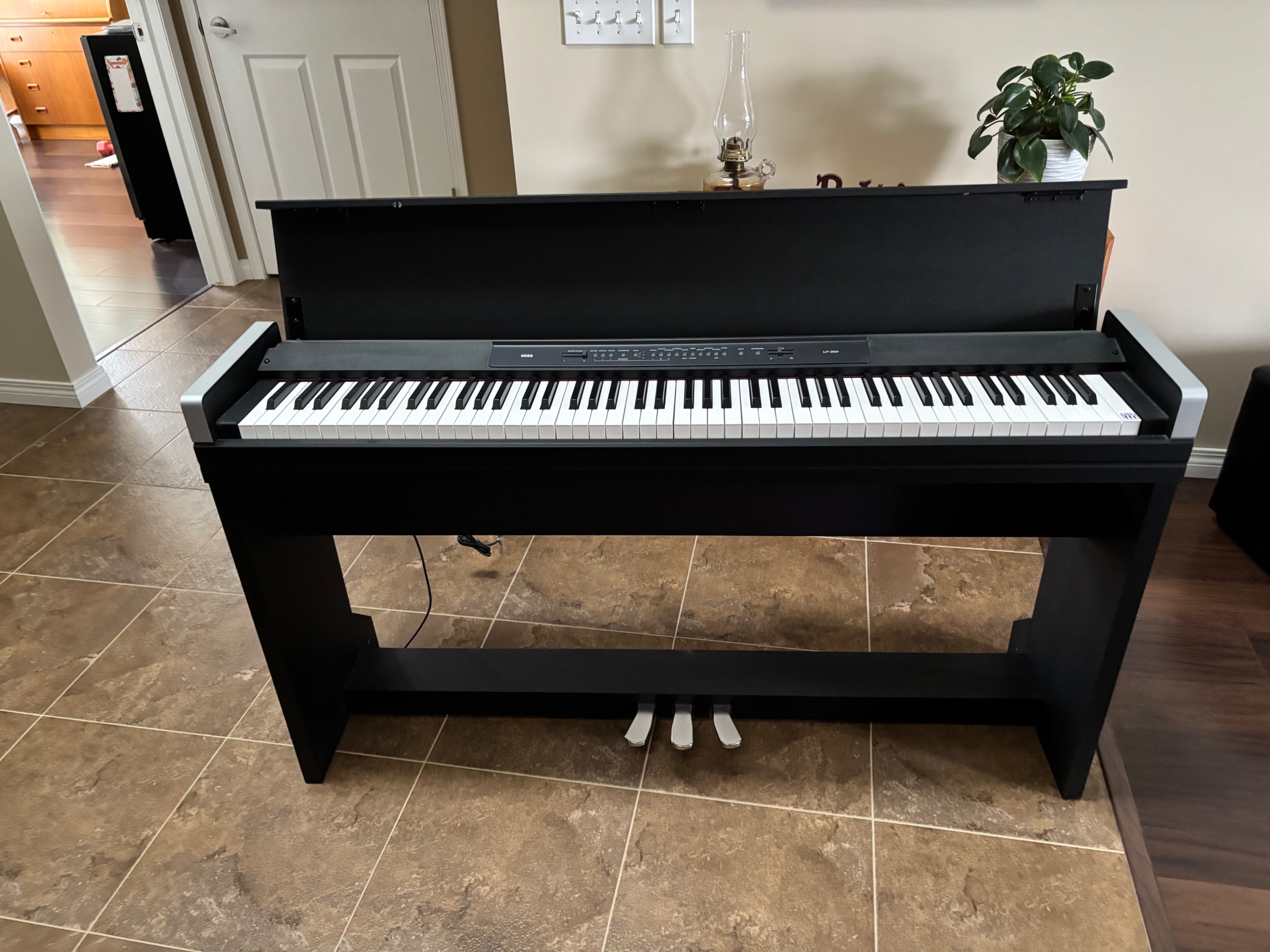 Photo of Korg piano keyboard