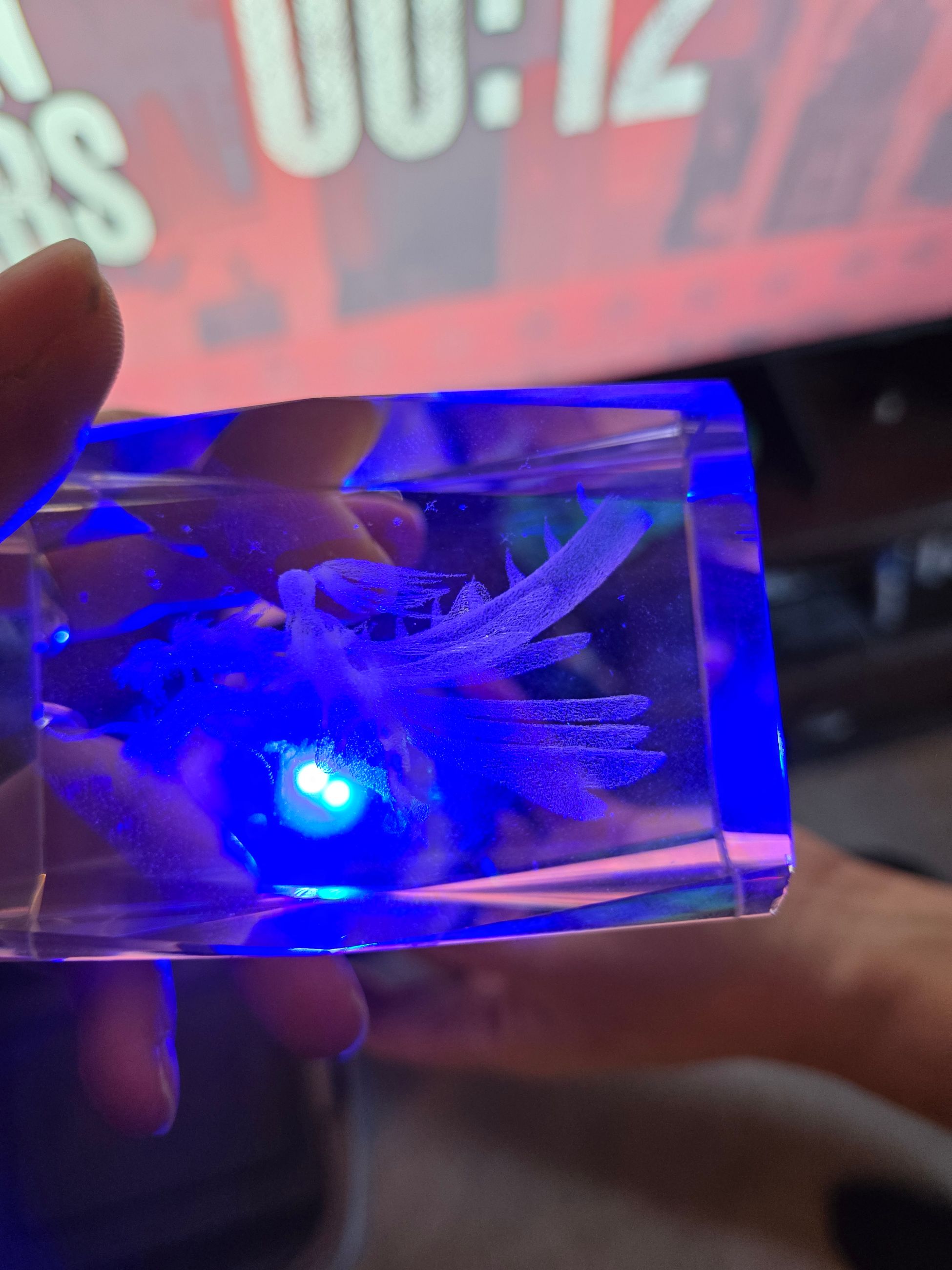 Photo of Small crystal with light located in woodbine