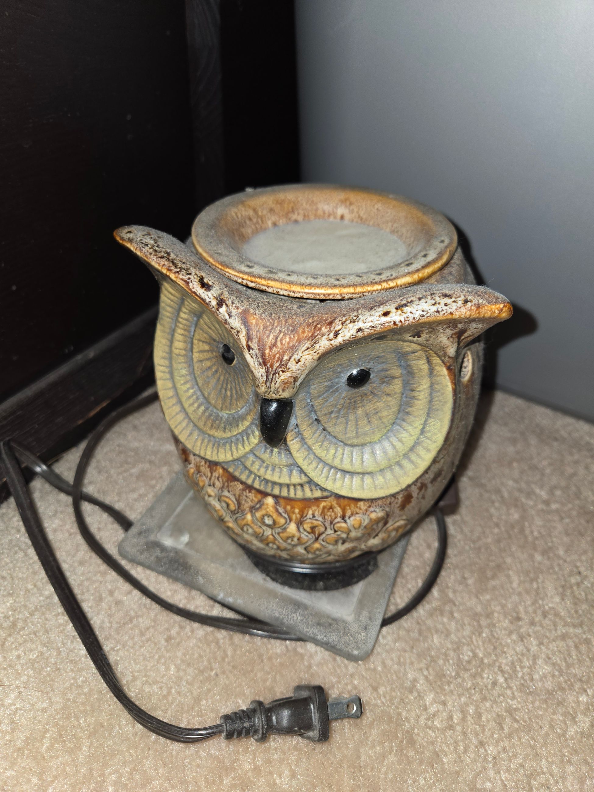 Photo of owl candle melt tjibg plugs in with about 1p packages of melts located in woodbine sw