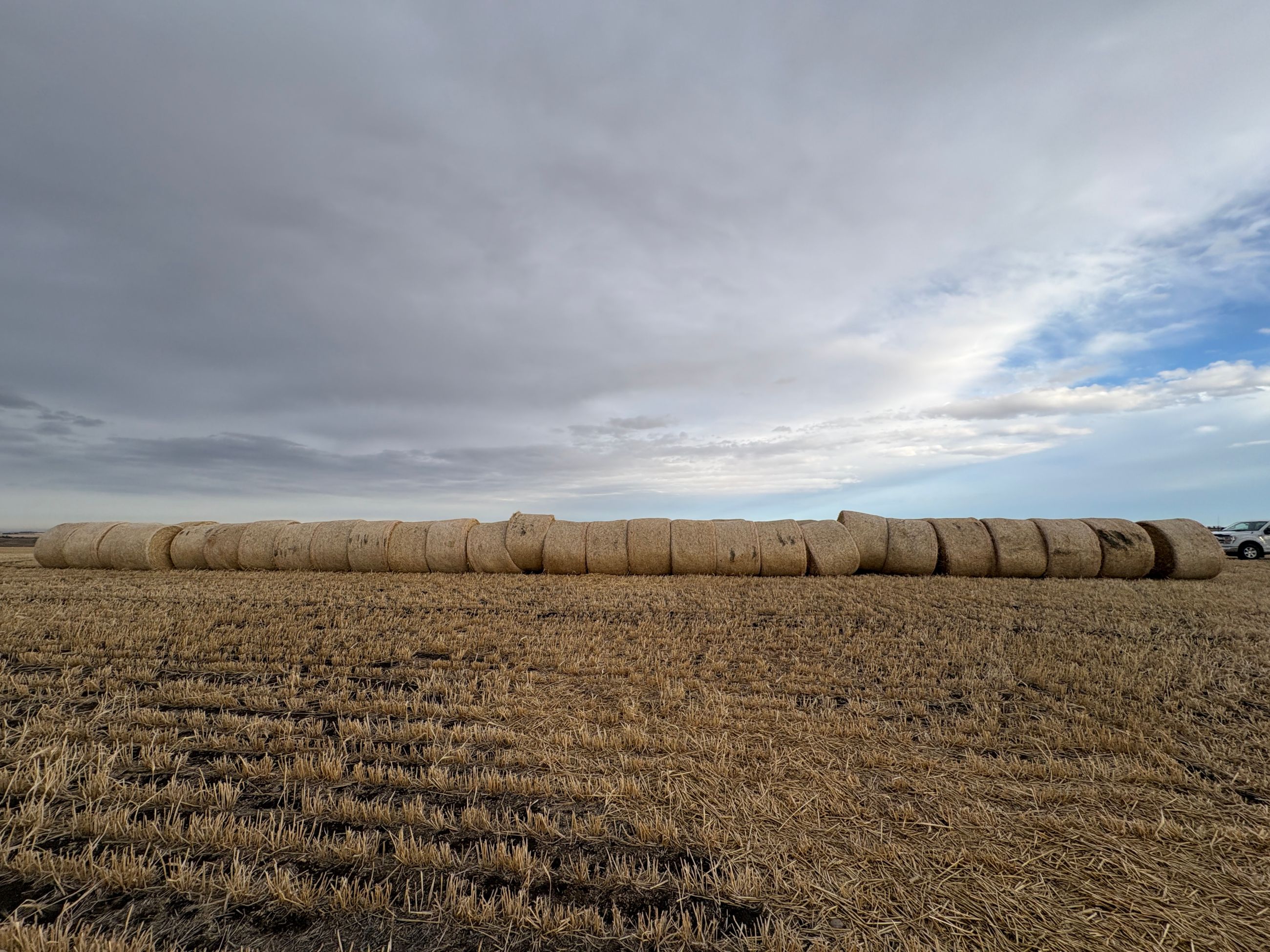 Photo of Straw Bales For Sale