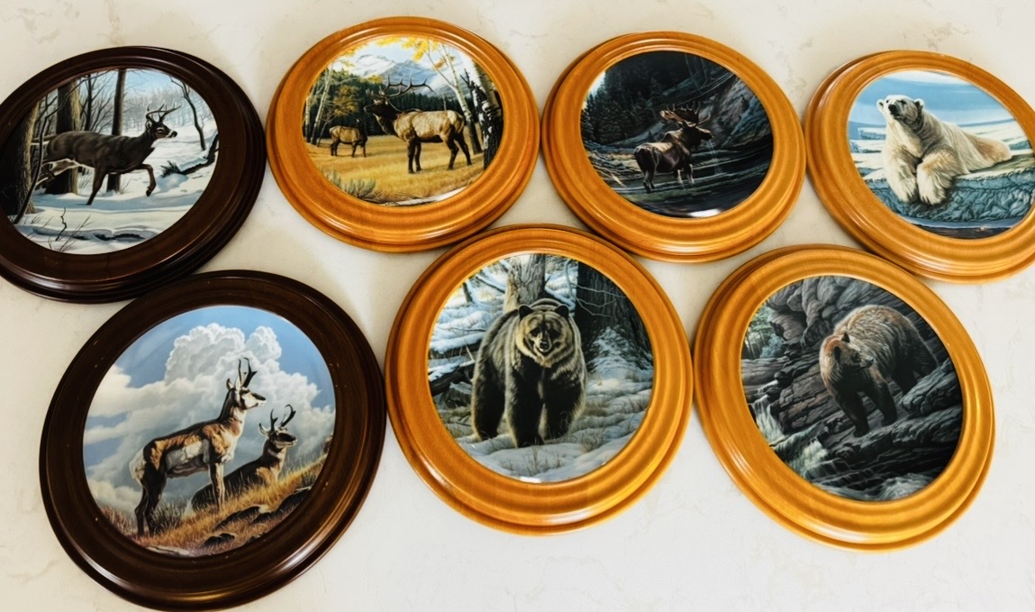 Photo of 7 Framed Dominion China Plate