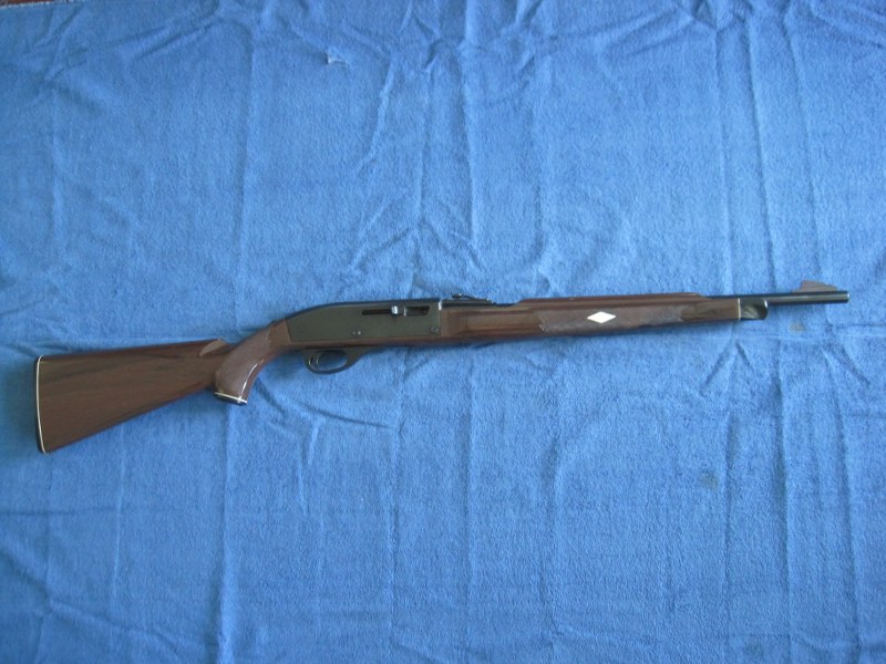 Photo of Remington  Nylon .22LR Semi Auto.