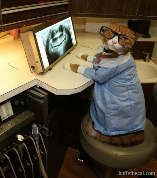 Photo of Dental Office help needed