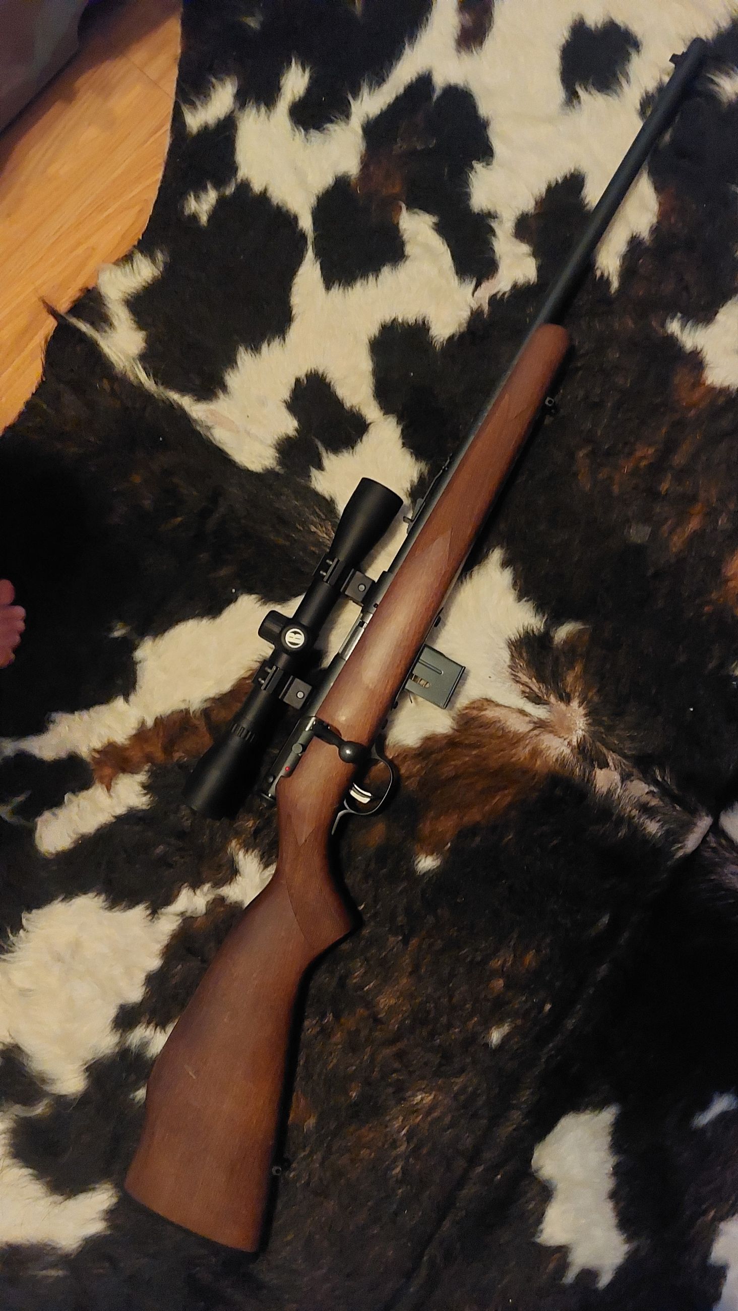 Photo of Savage 93 22WMR mag