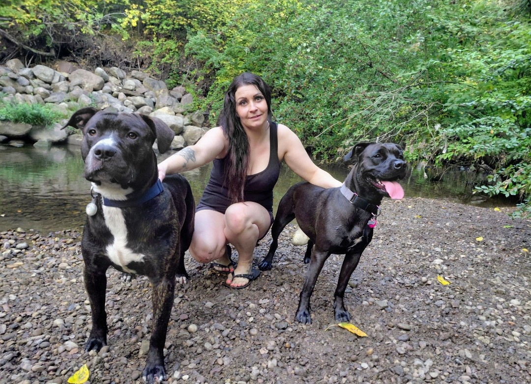 Photo of 🐾 Bosss Bullies Puppies – Don't miss out! 🐾