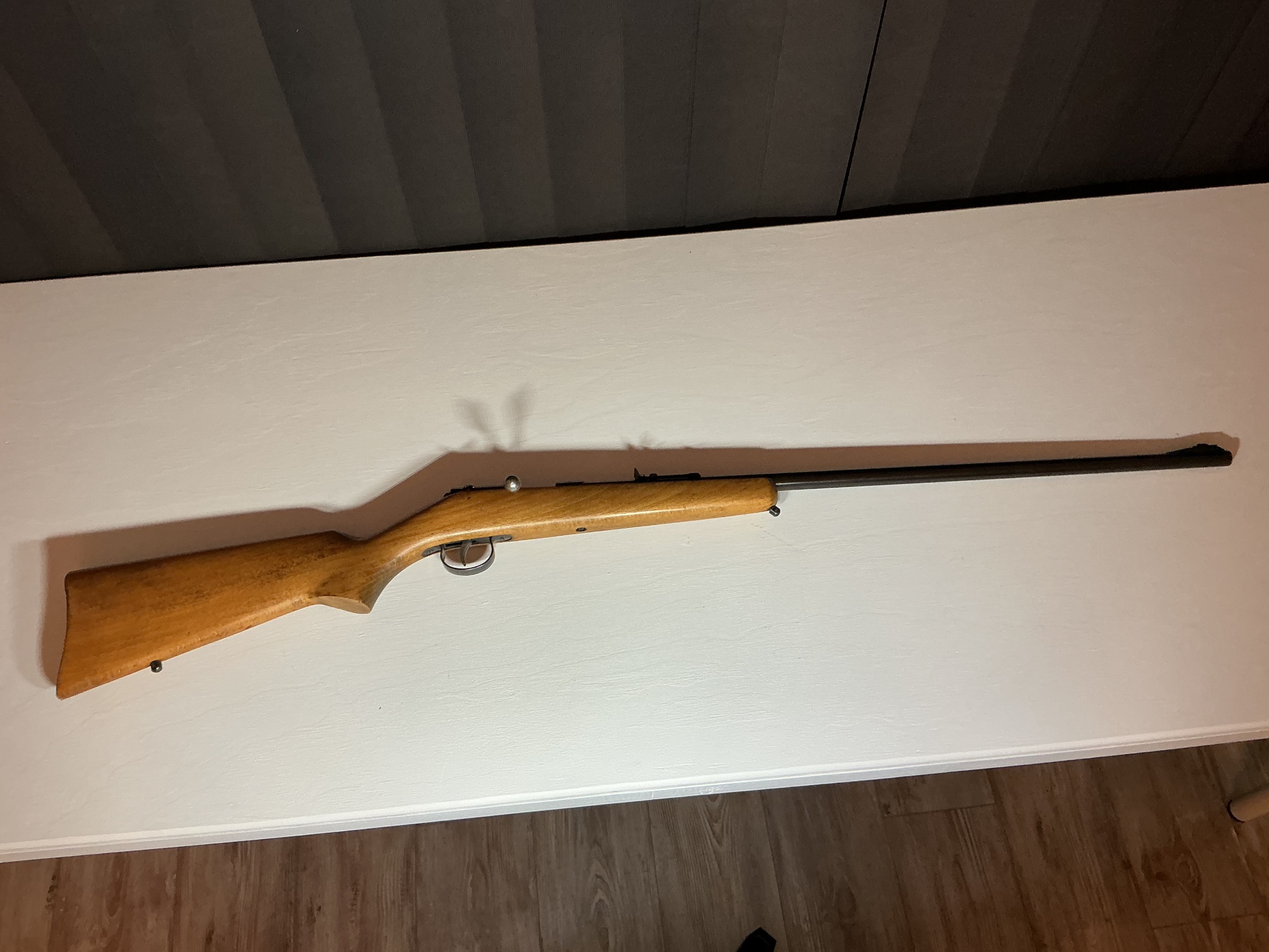 Photo of Anschutz .22 Short 