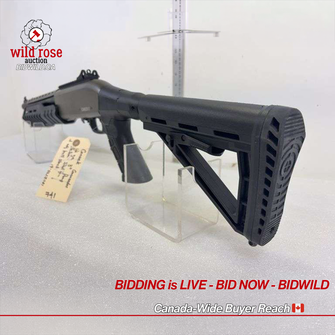 Photo of Another Wild Rose Auction