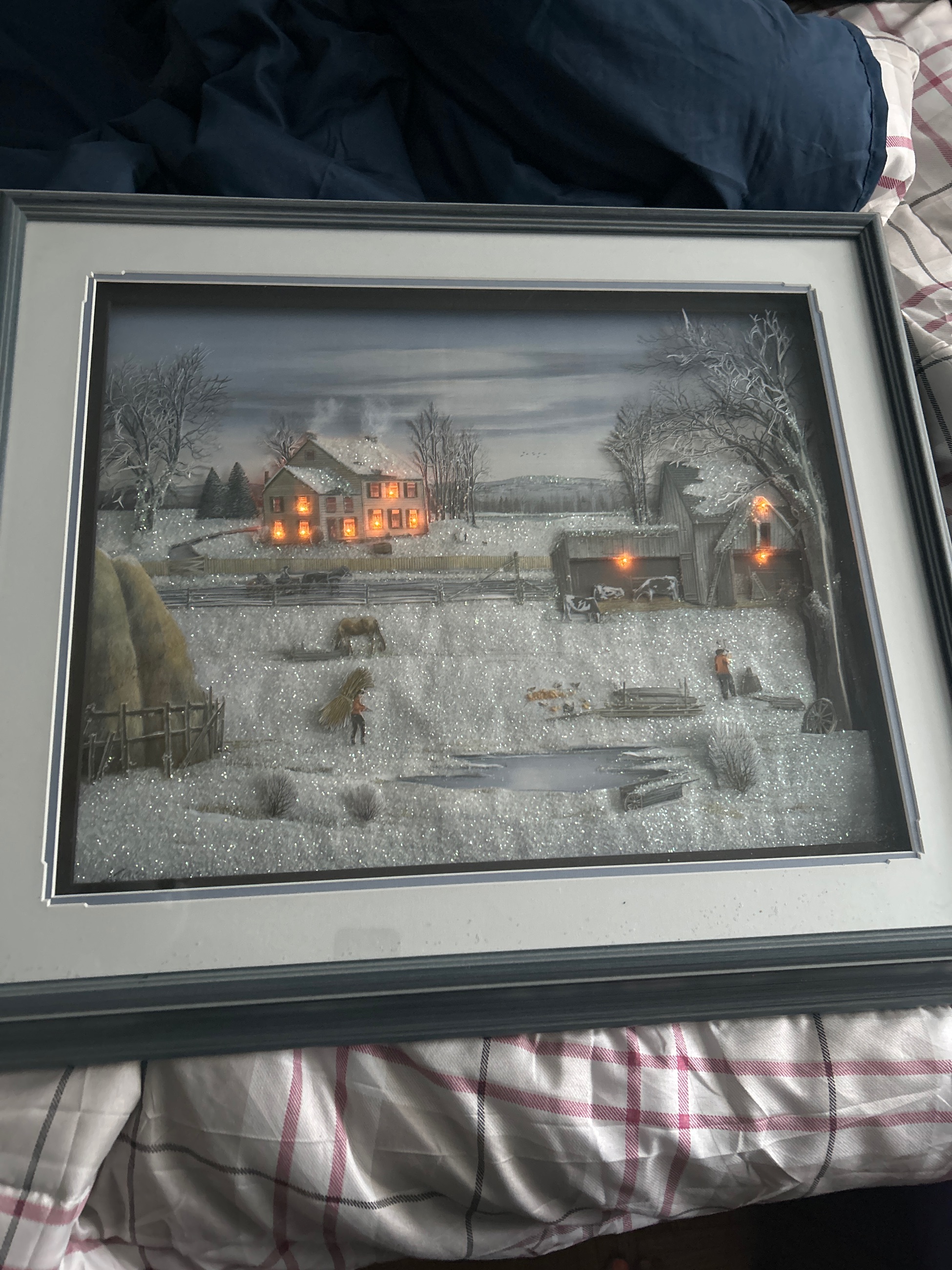 Photo of Lighted picture $20