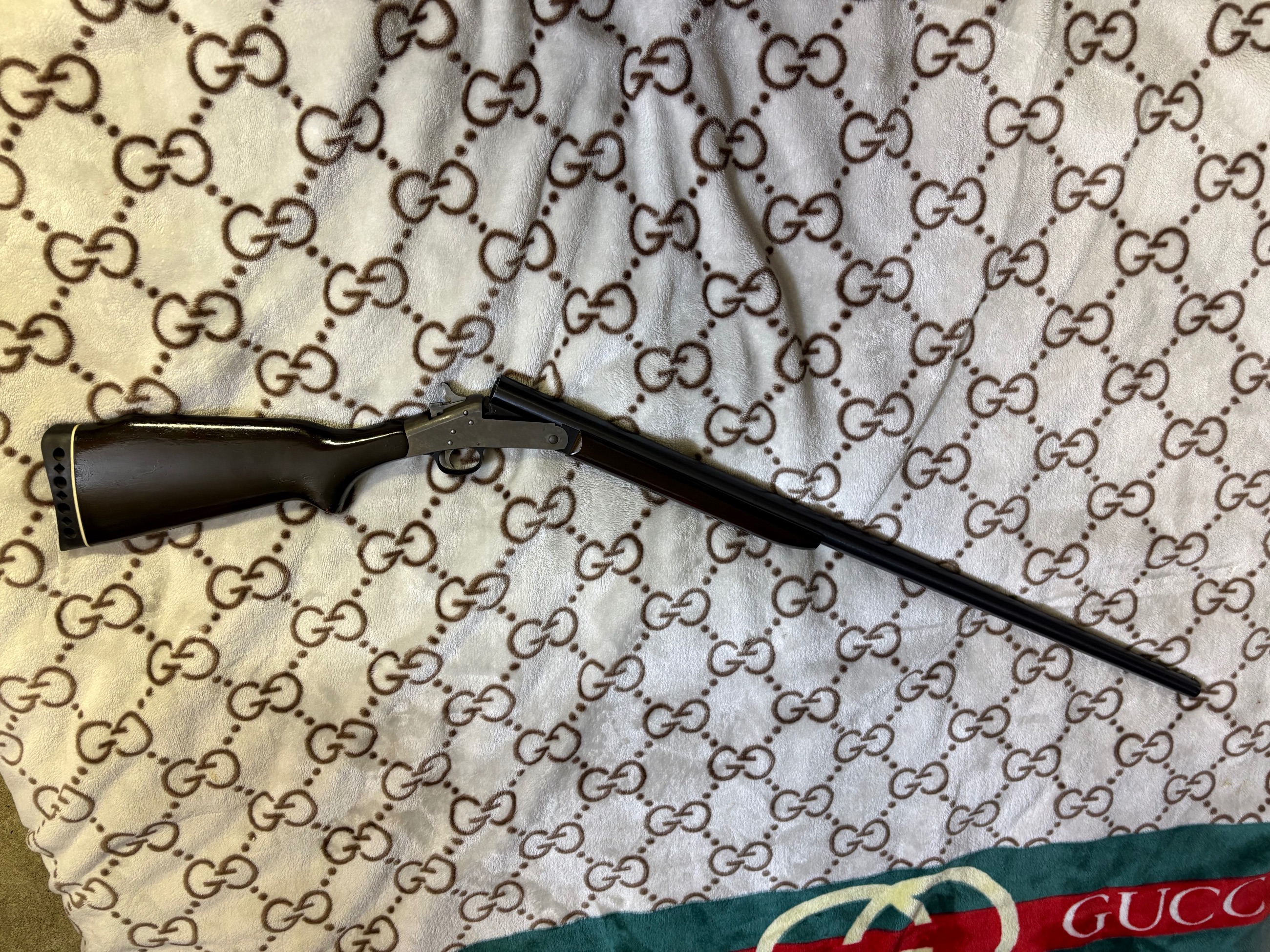 Photo of Harrington Richardson 10G magnum model 176