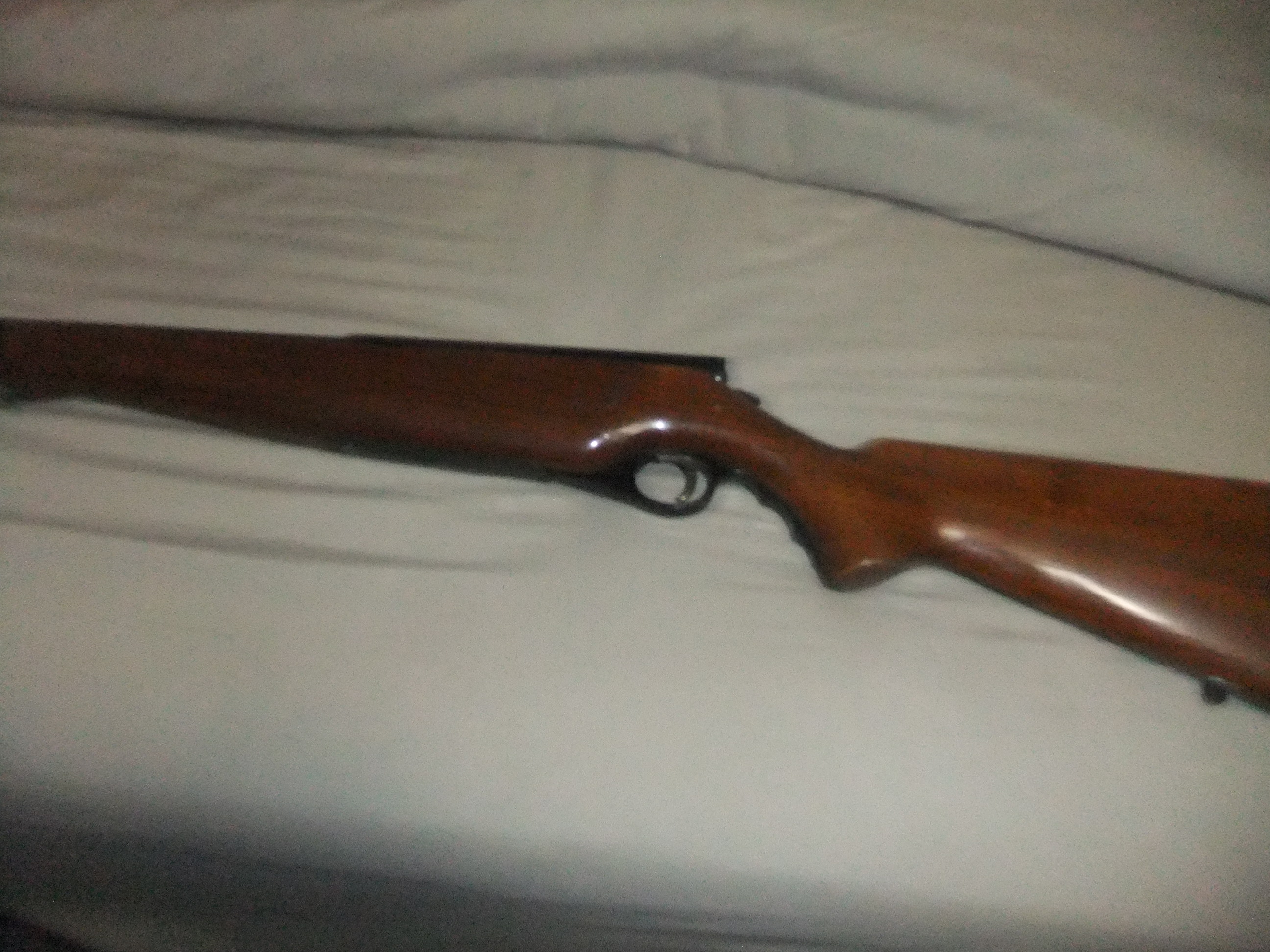 Photo of Mossberg 410 Bolt Action